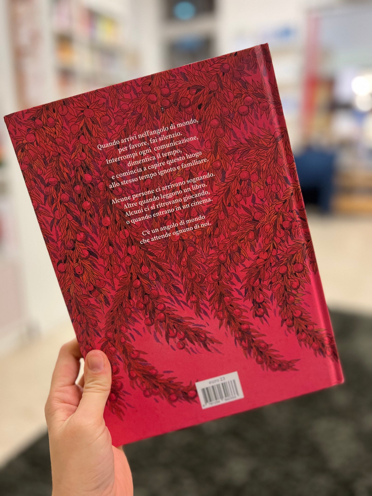 In un angolo di mondo, Jimmy Liao