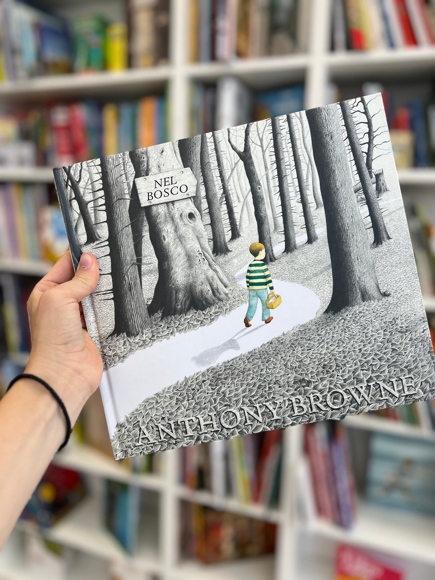 Nel bosco, Anthony Browne