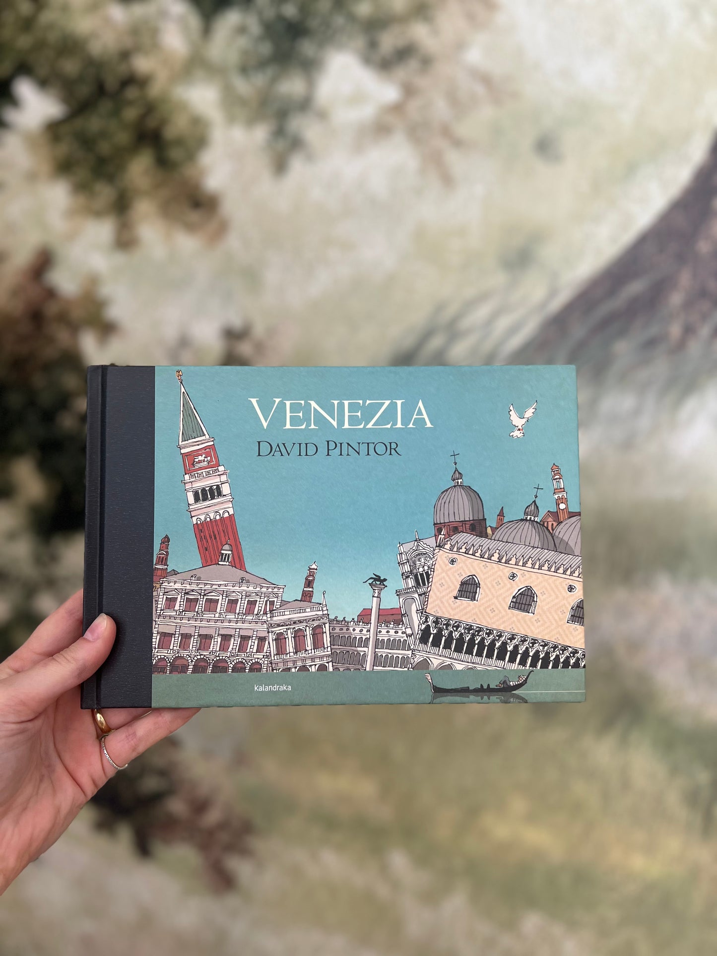 Venezia, David Pintor