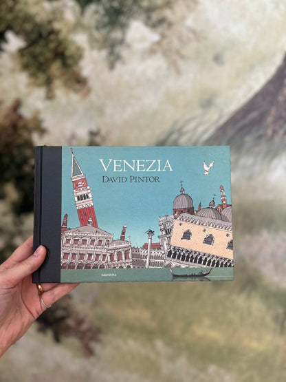 Venezia, David Pintor