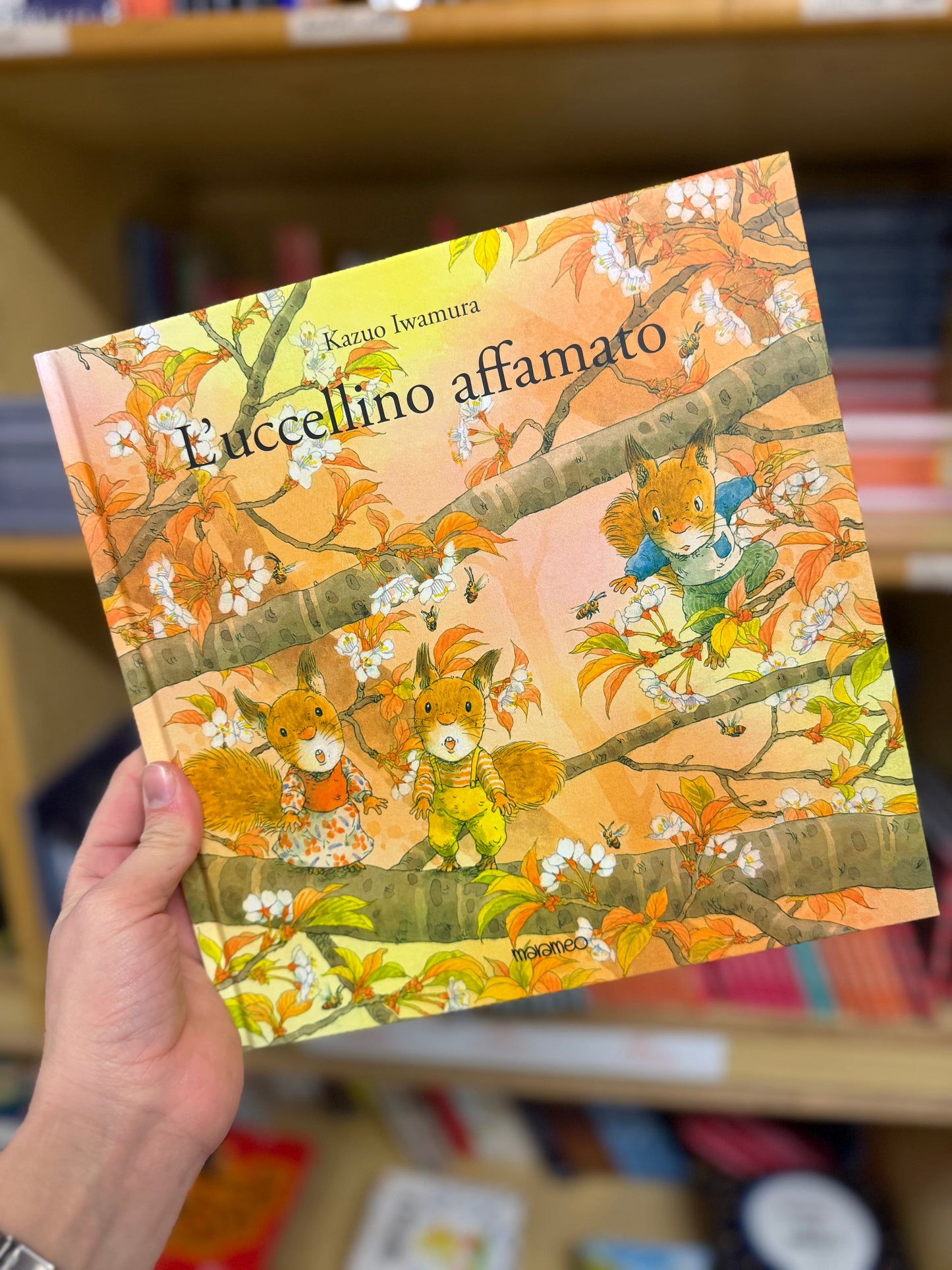 4 Albi illustrati Giapponesi sulle STAGIONI, Kazuo Iwamura