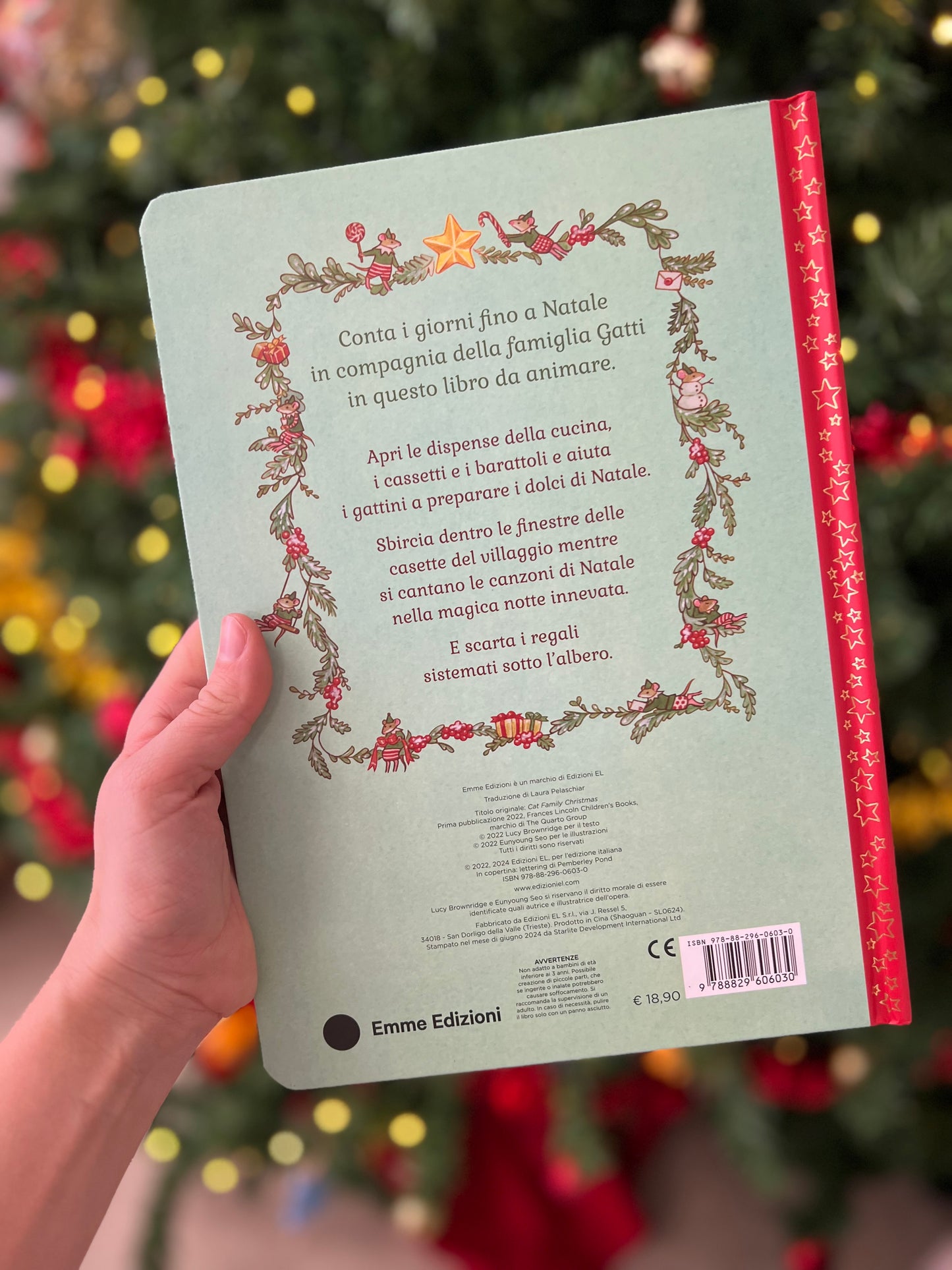 Il Natale della Famiglia Gatti, Lucy Brownridge, Eunyoung Seo