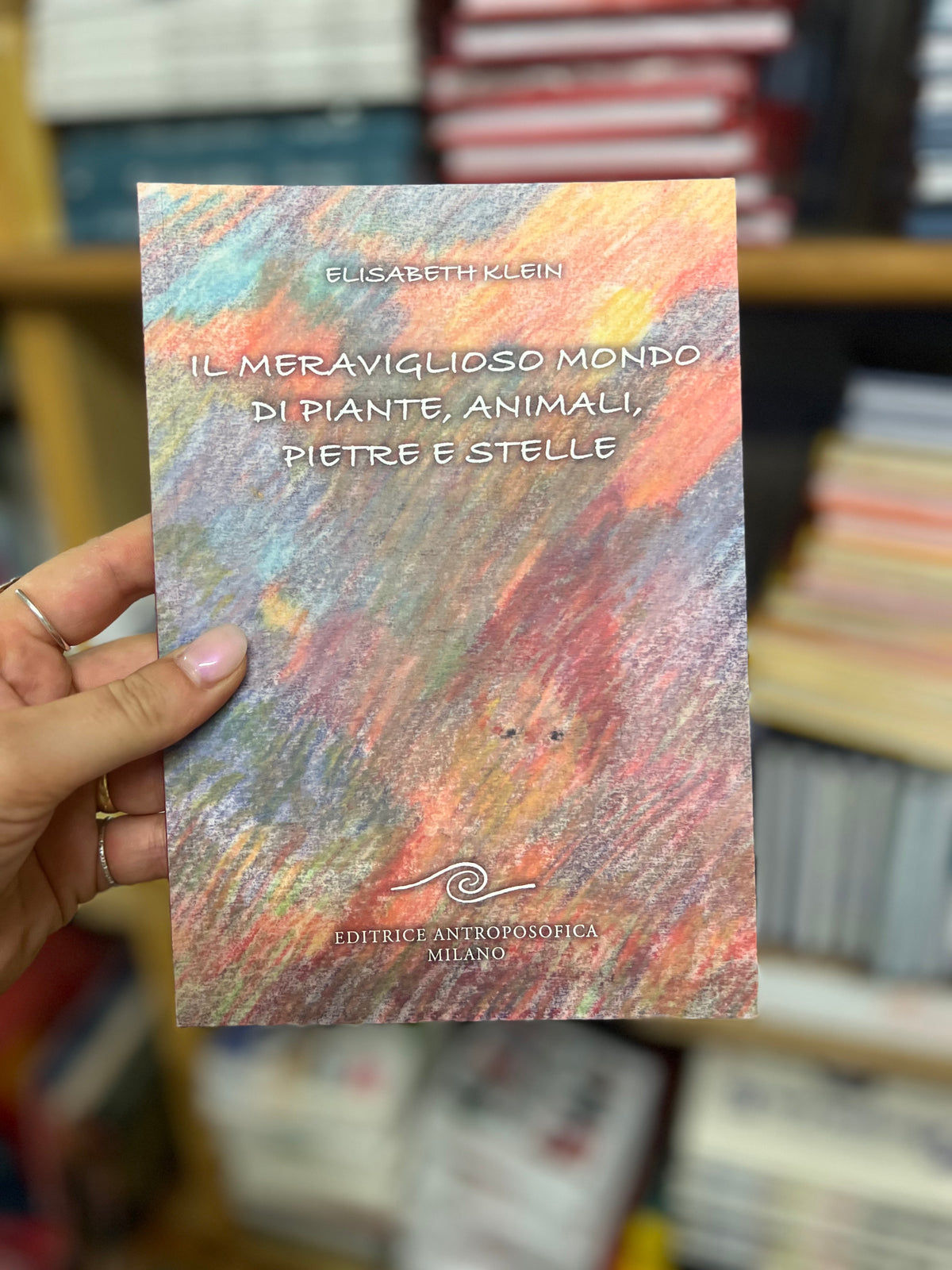 Il meraviglioso mondo di piante, animali, pietre e stelle, Elisabeth Klein