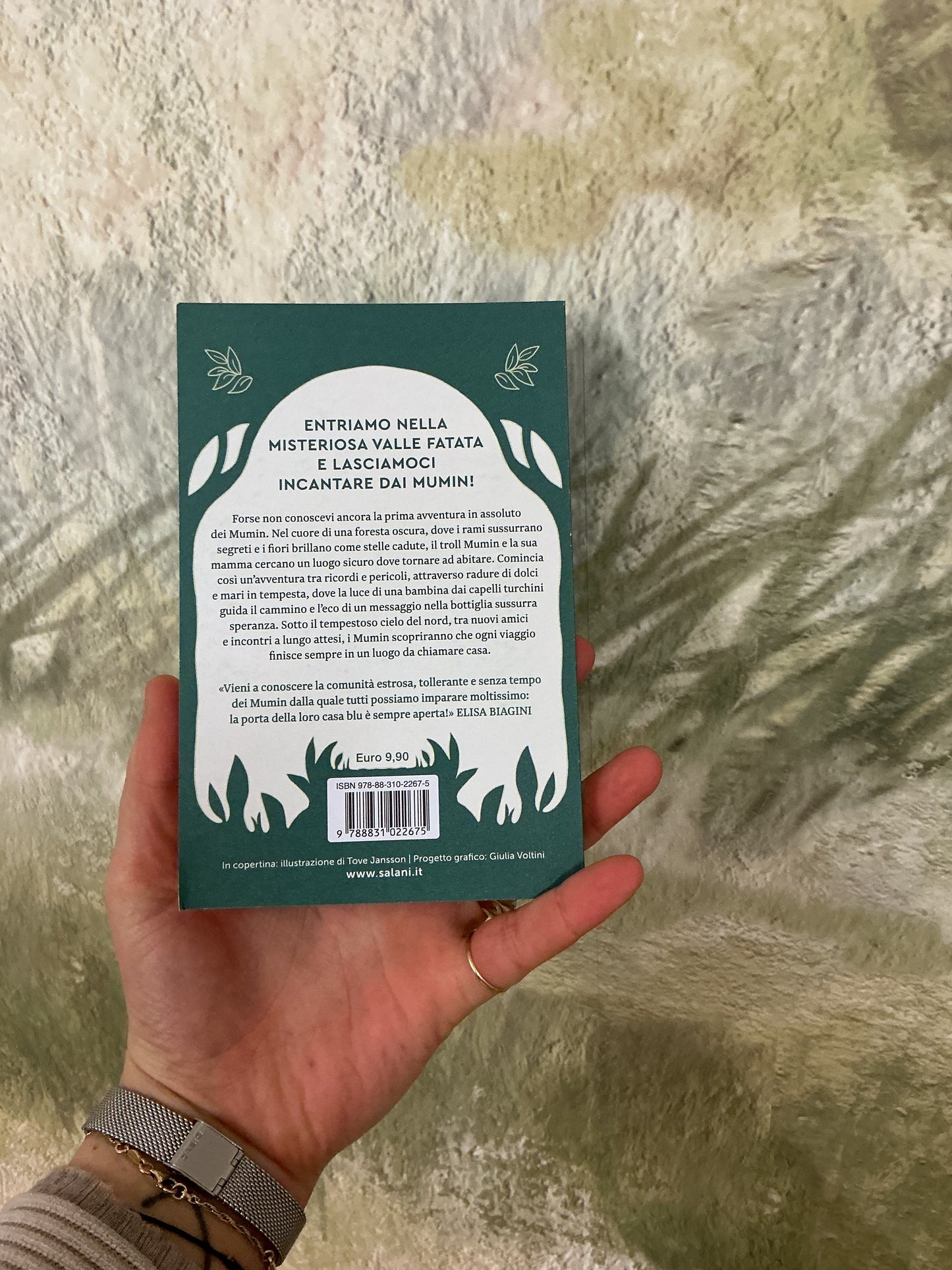 Il piccolo troll è la grande pioggia, Jove Jansson