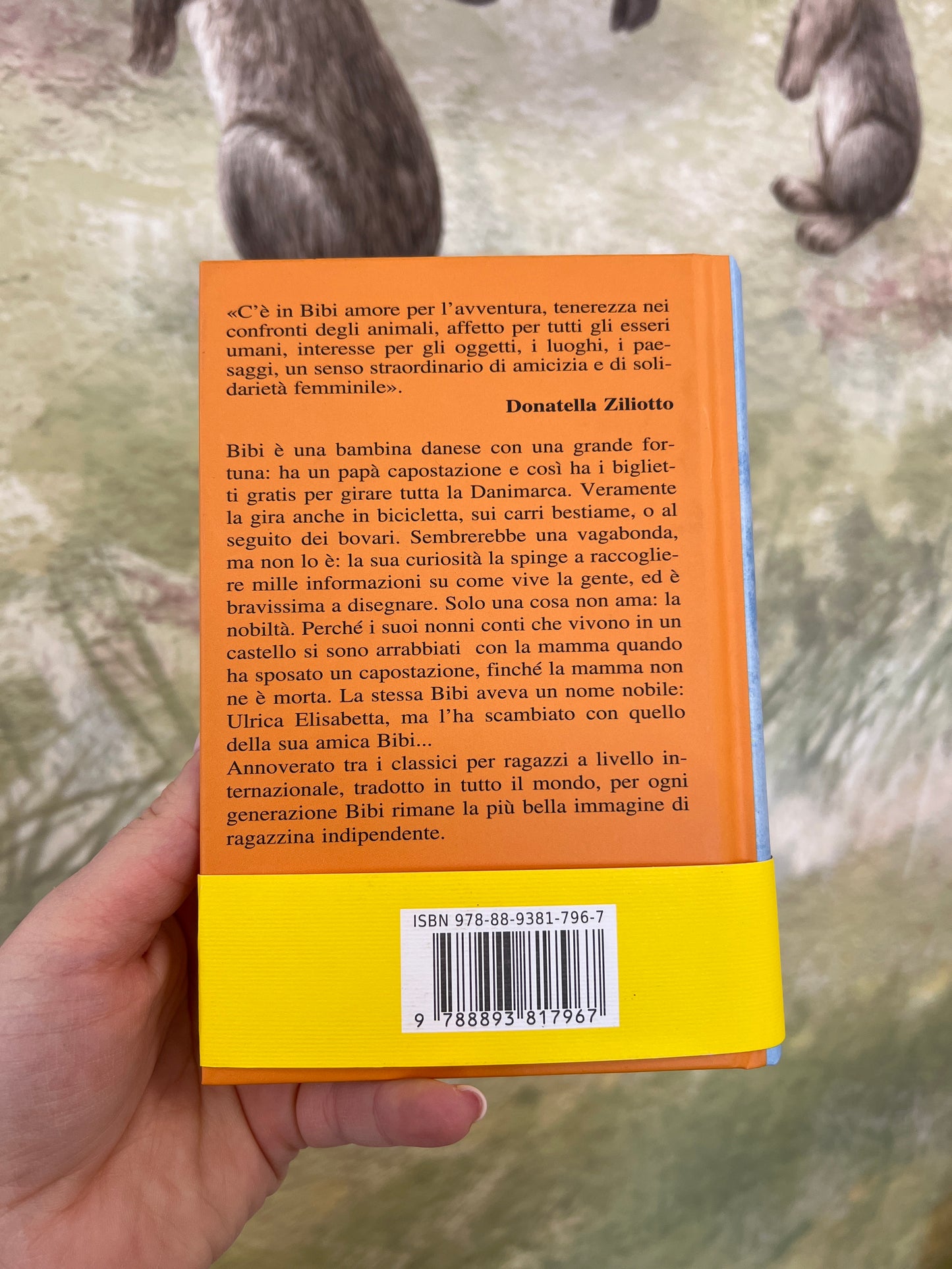 Bibi una bambina del nord, Karin Michaëlis