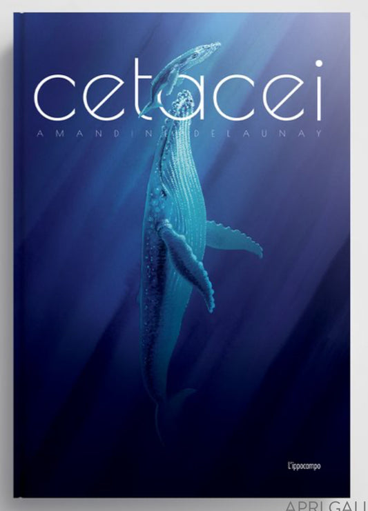 Cetacei, Amandine Delaunay