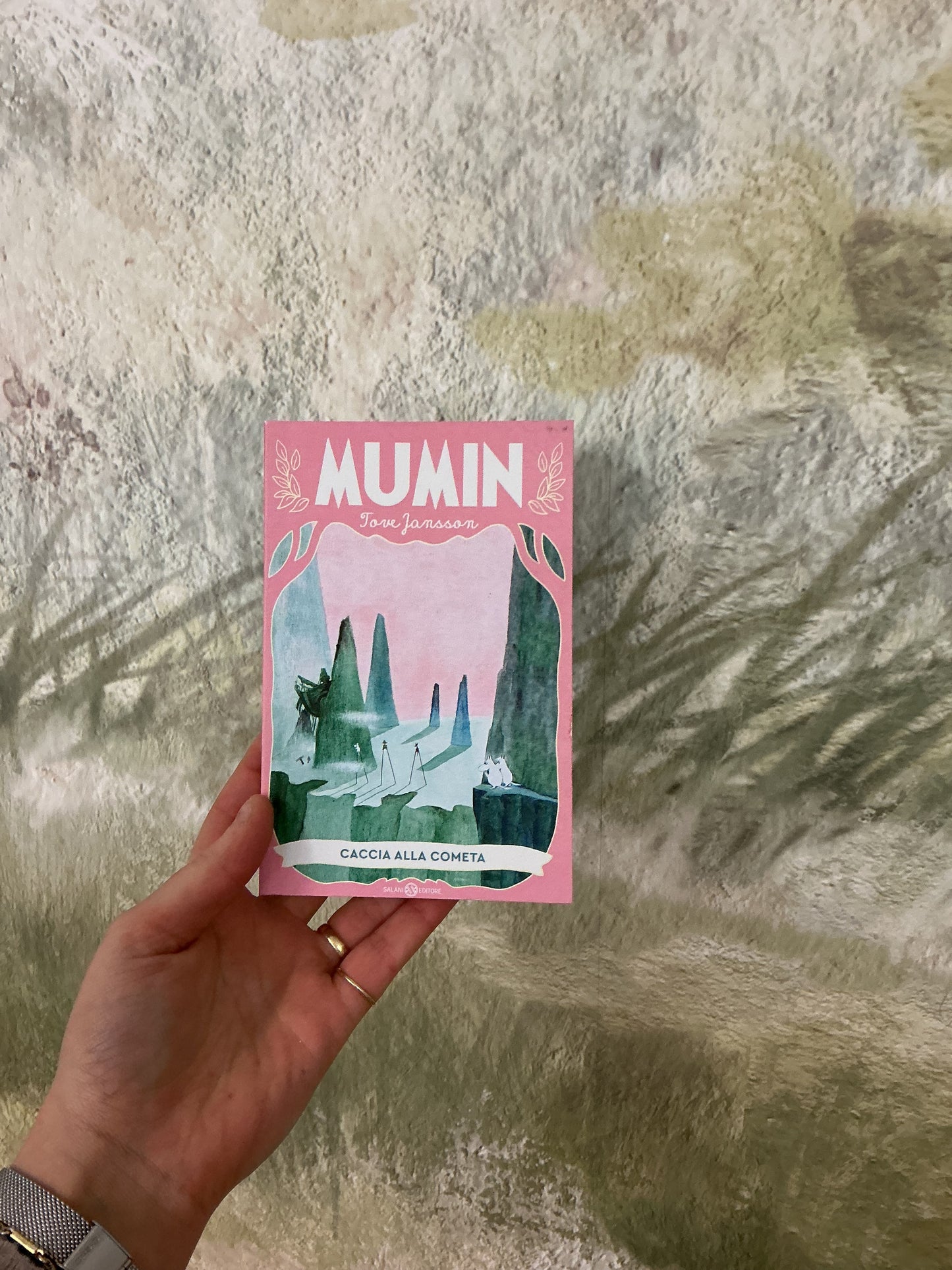 Caccia alle comete, Jove Jansson