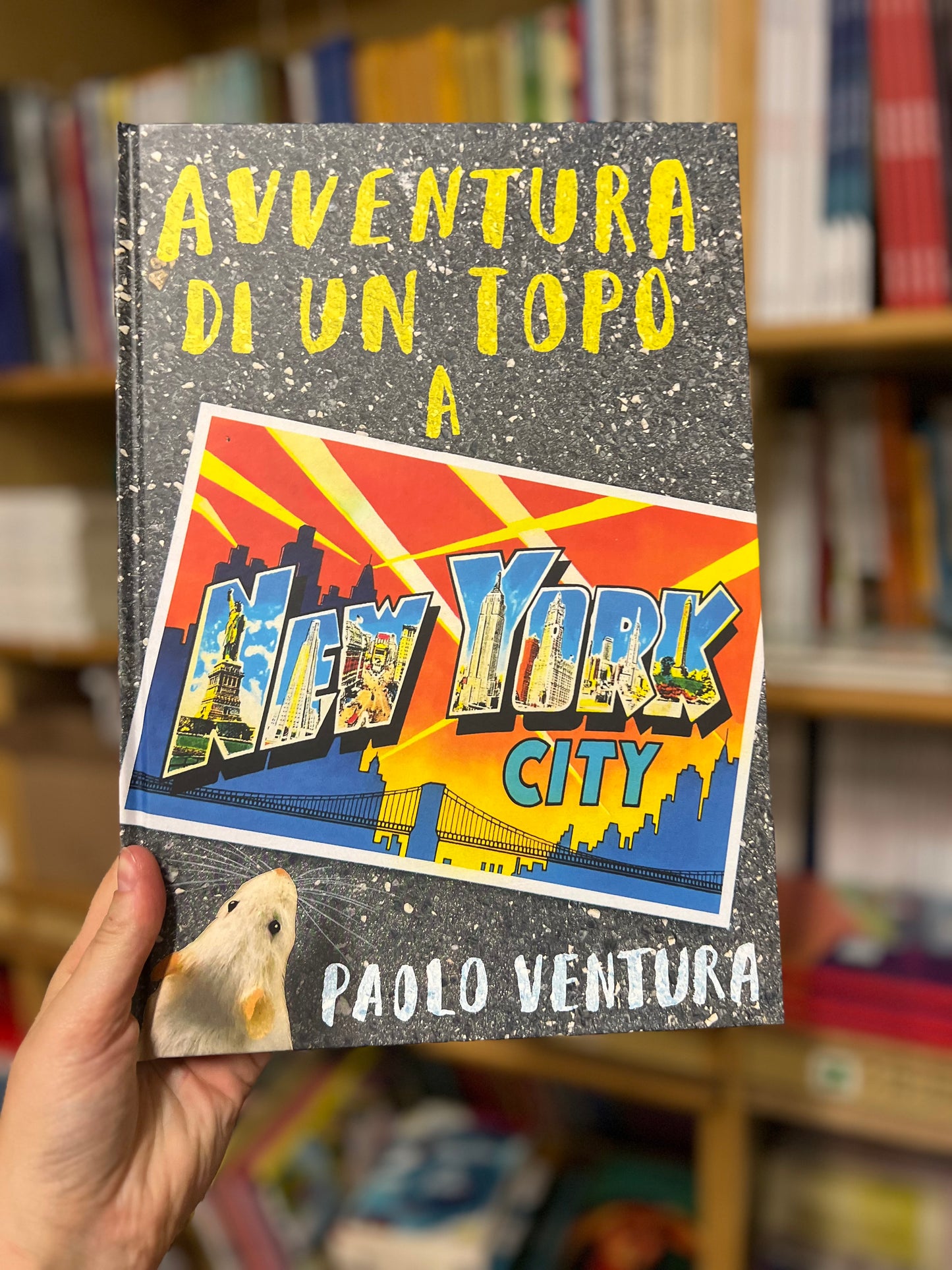 Avventura di un topo a New York City, Paolo Ventura