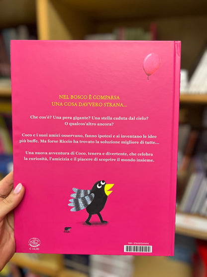 Coco e l’oggetto misterioso, Loes Riphagen