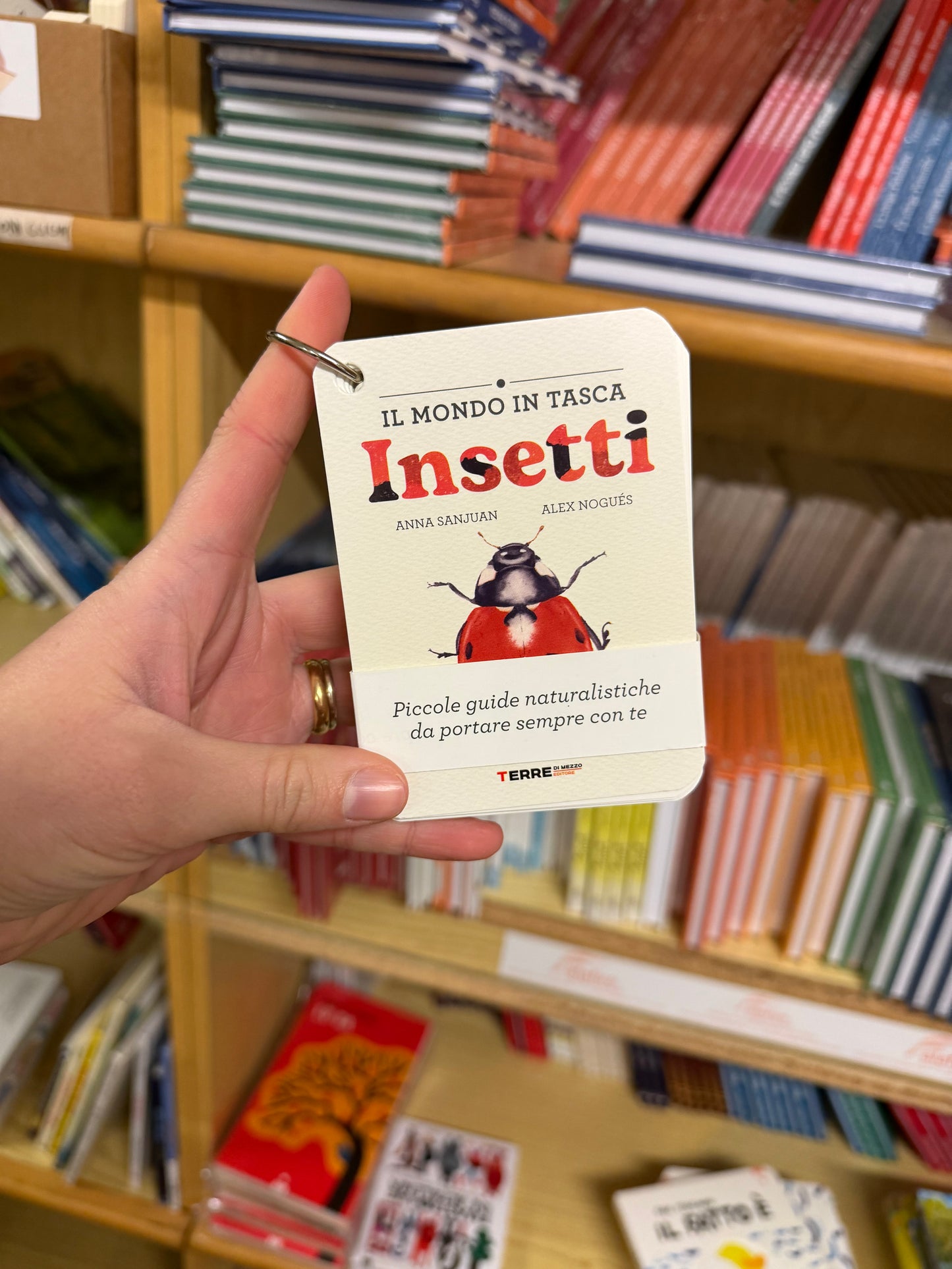 Il mondo in tasca Insetti, Anna Sanjuan