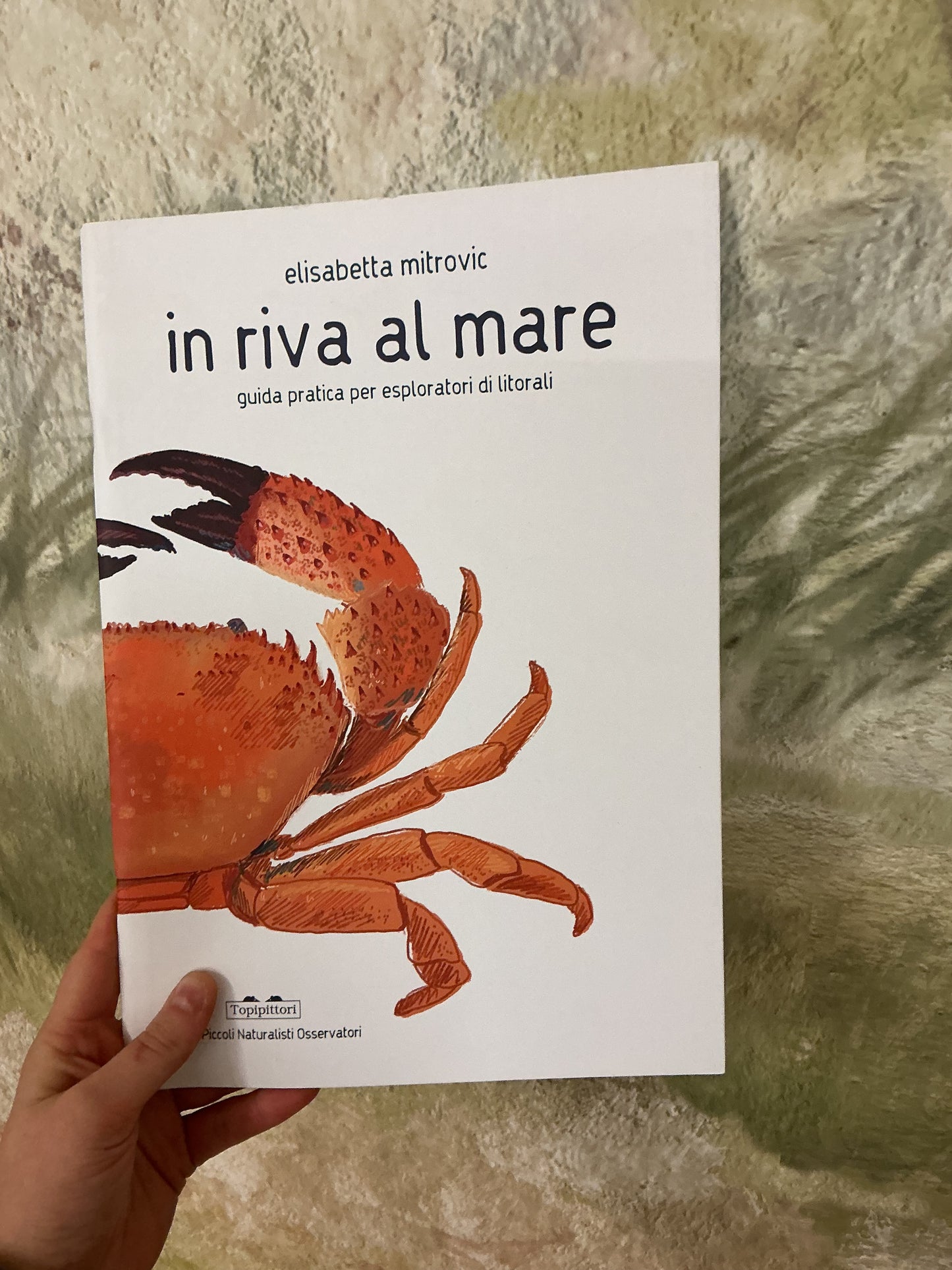 In riva al mare. Guida pratica per esploratori di litorali, Elisabetta Mitrovic