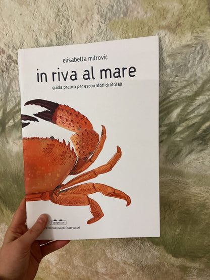 In riva al mare. Guida pratica per esploratori di litorali, Elisabetta Mitrovic