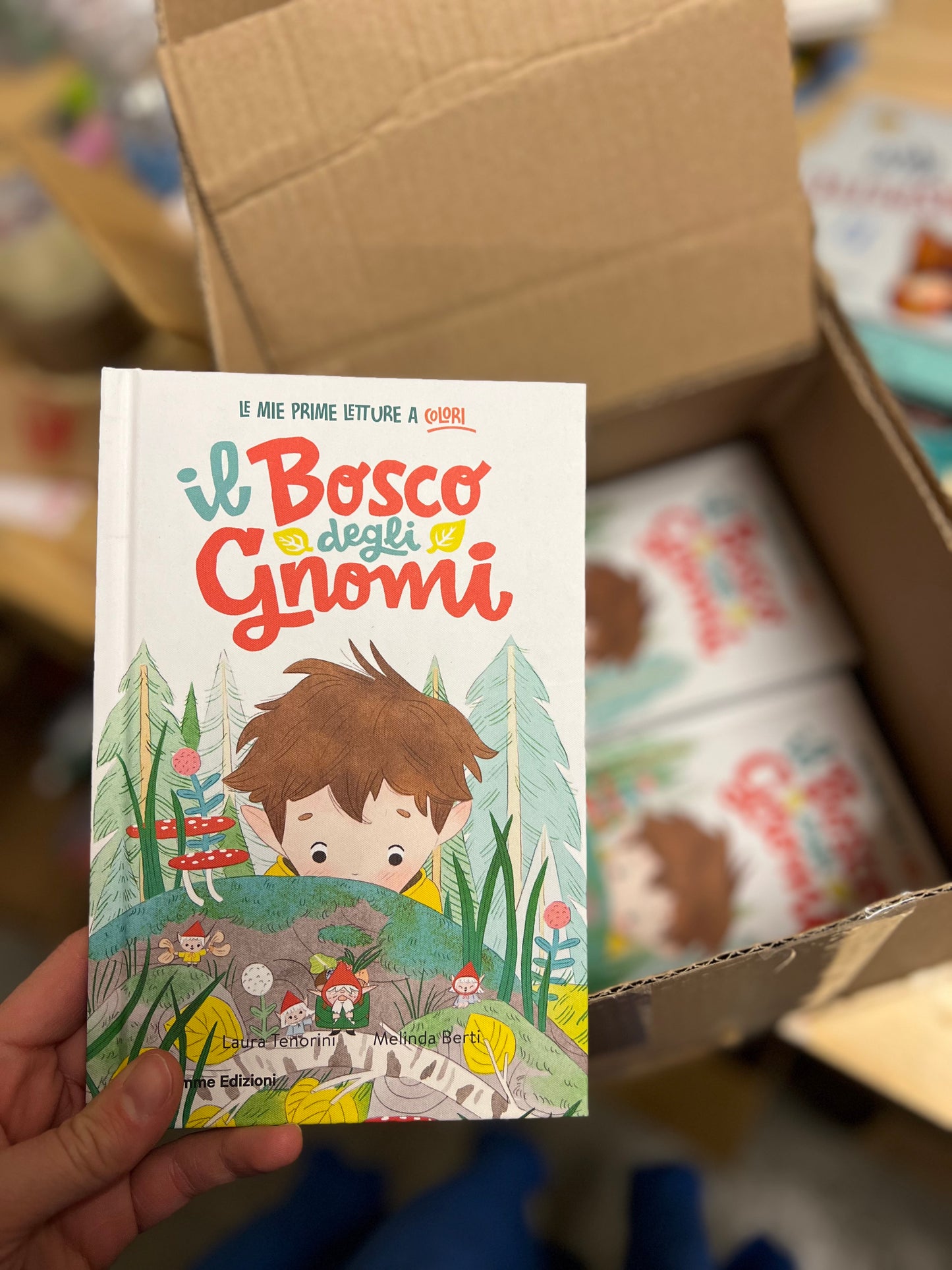 Il bosco degli gnomi, Laura Tenorini