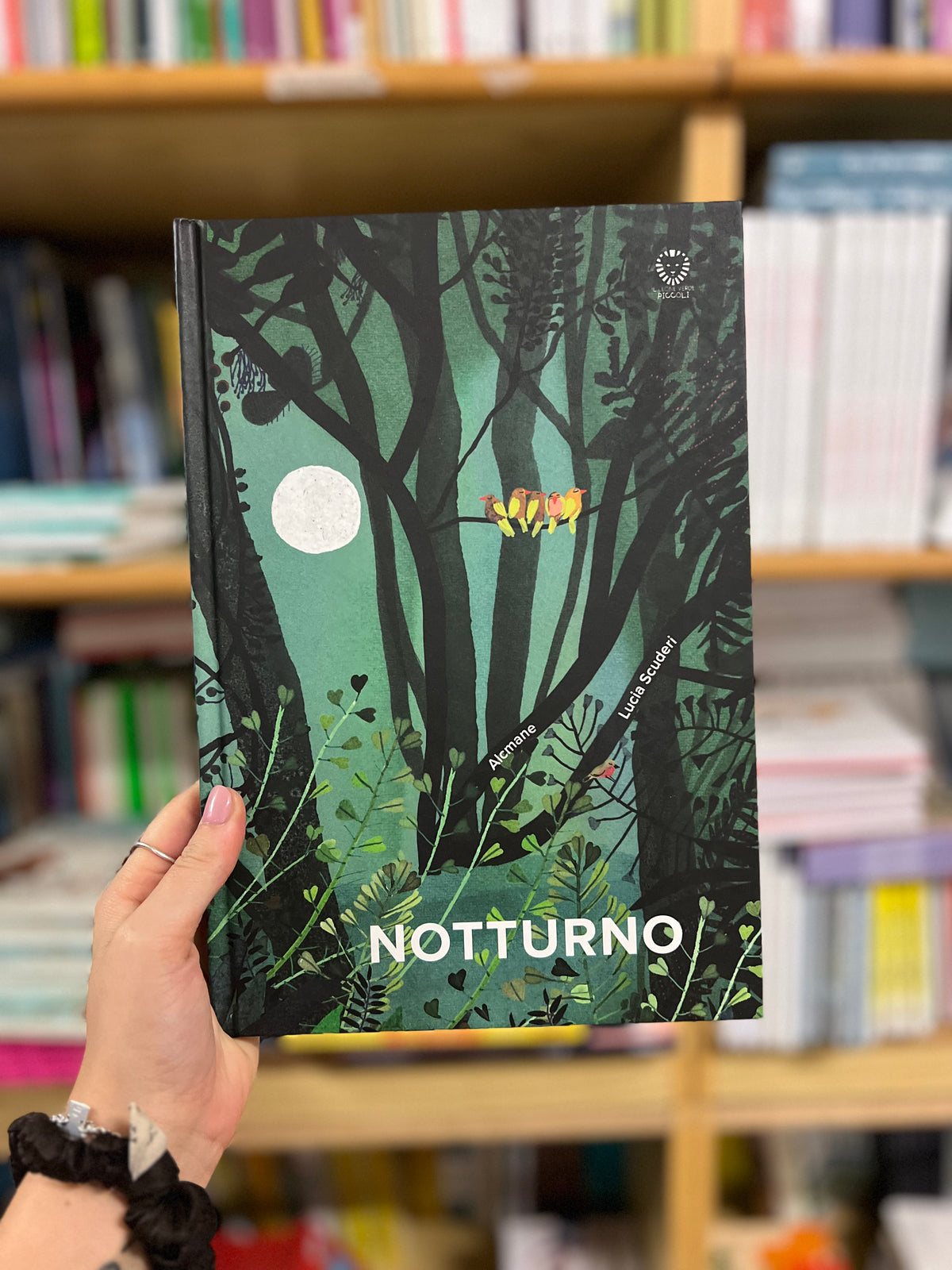 Notturno, Alcmane & Scuderi Lucia