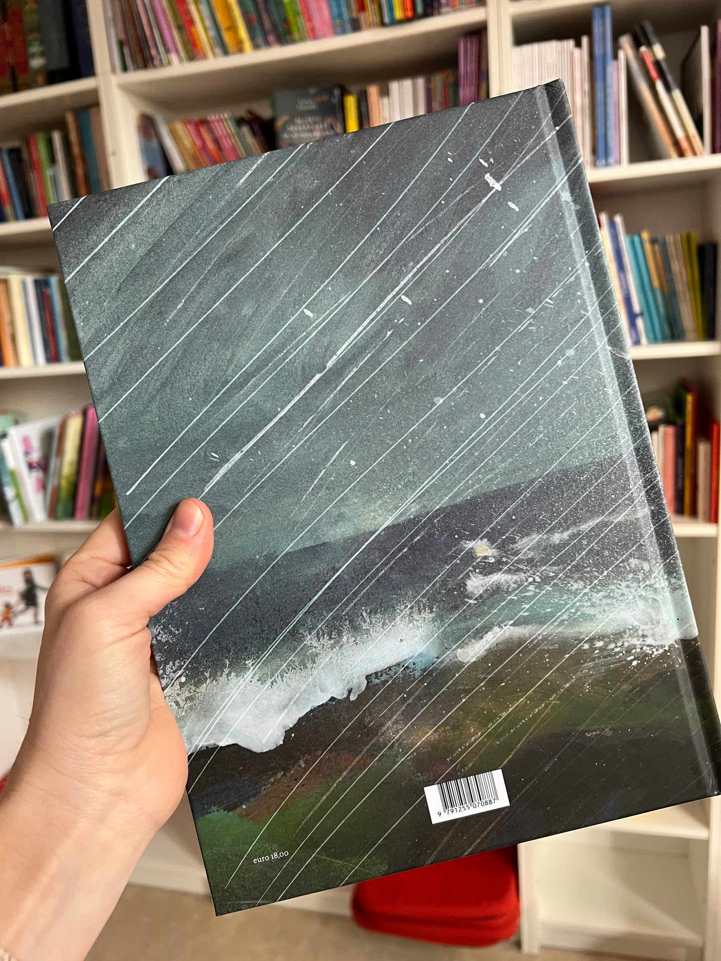 Nella burrasca, Brian Floca, Sydney Smith