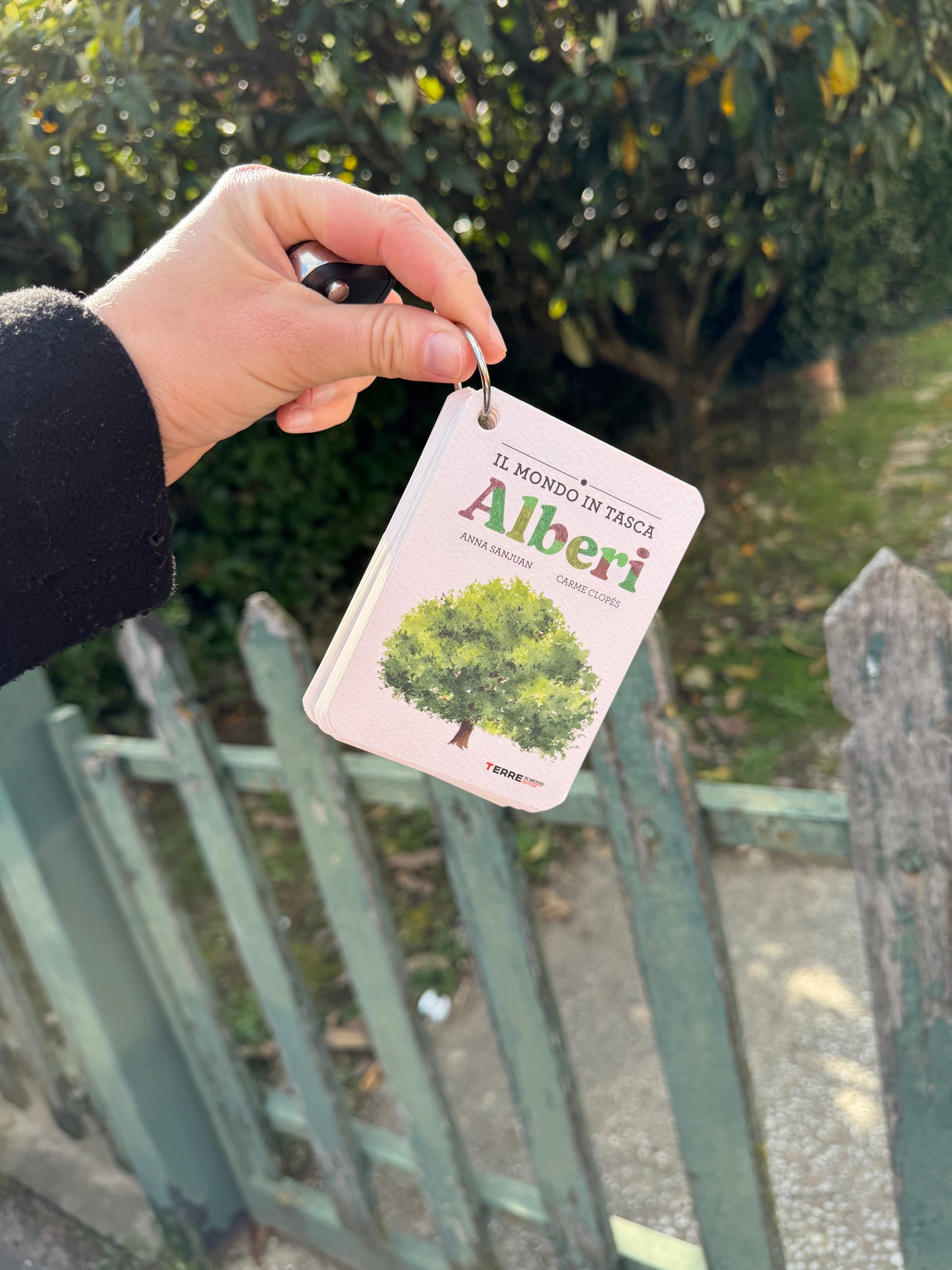 Il mondo in tasca Alberi, Anna Sanjuan