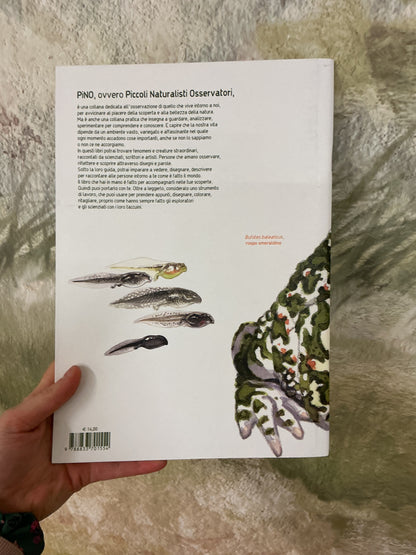 Rane, rospi e tritoni. Gli anfibi e l’arte della trasformazione, Federico Gemma