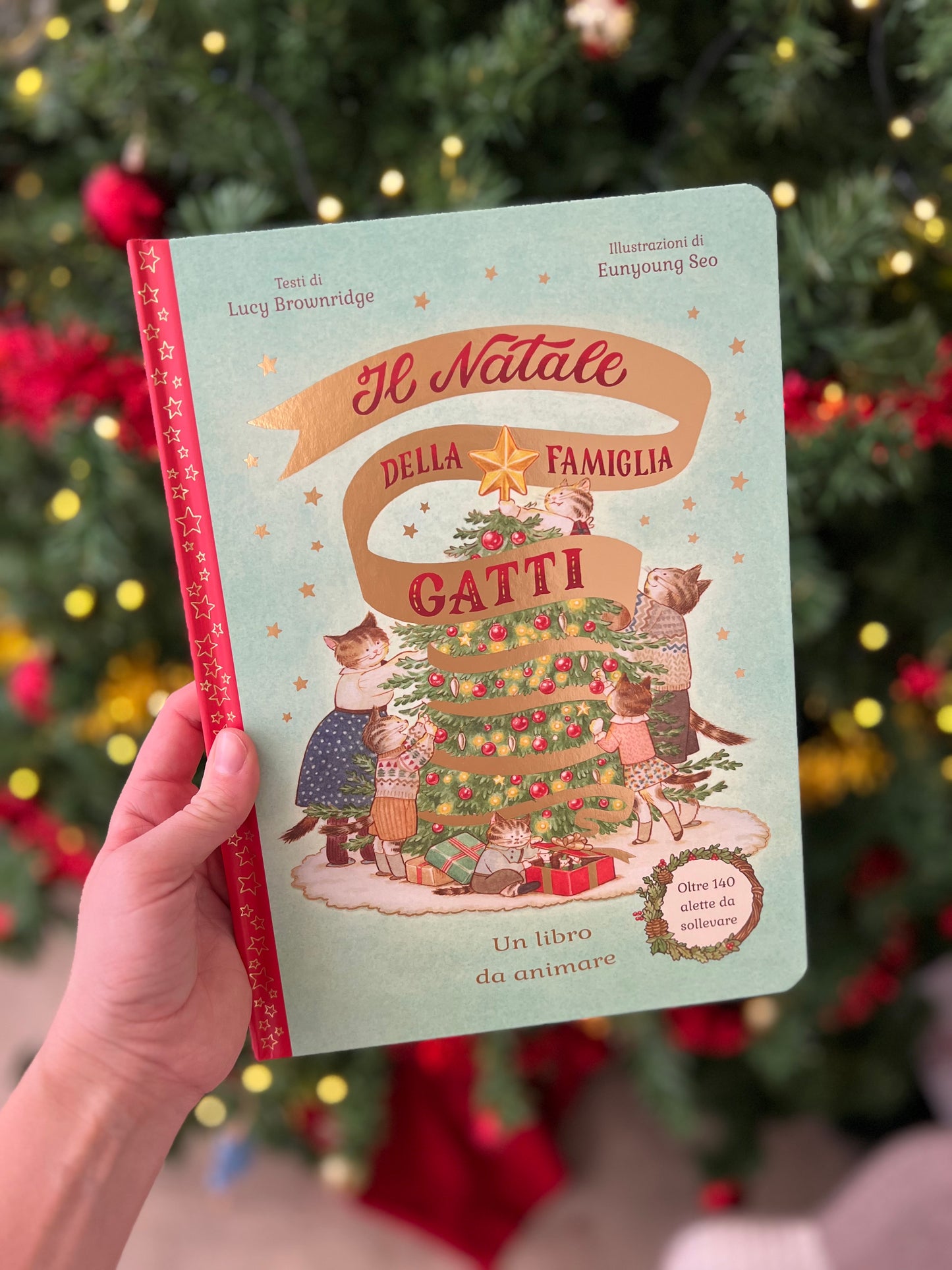 Il Natale della Famiglia Gatti, Lucy Brownridge, Eunyoung Seo