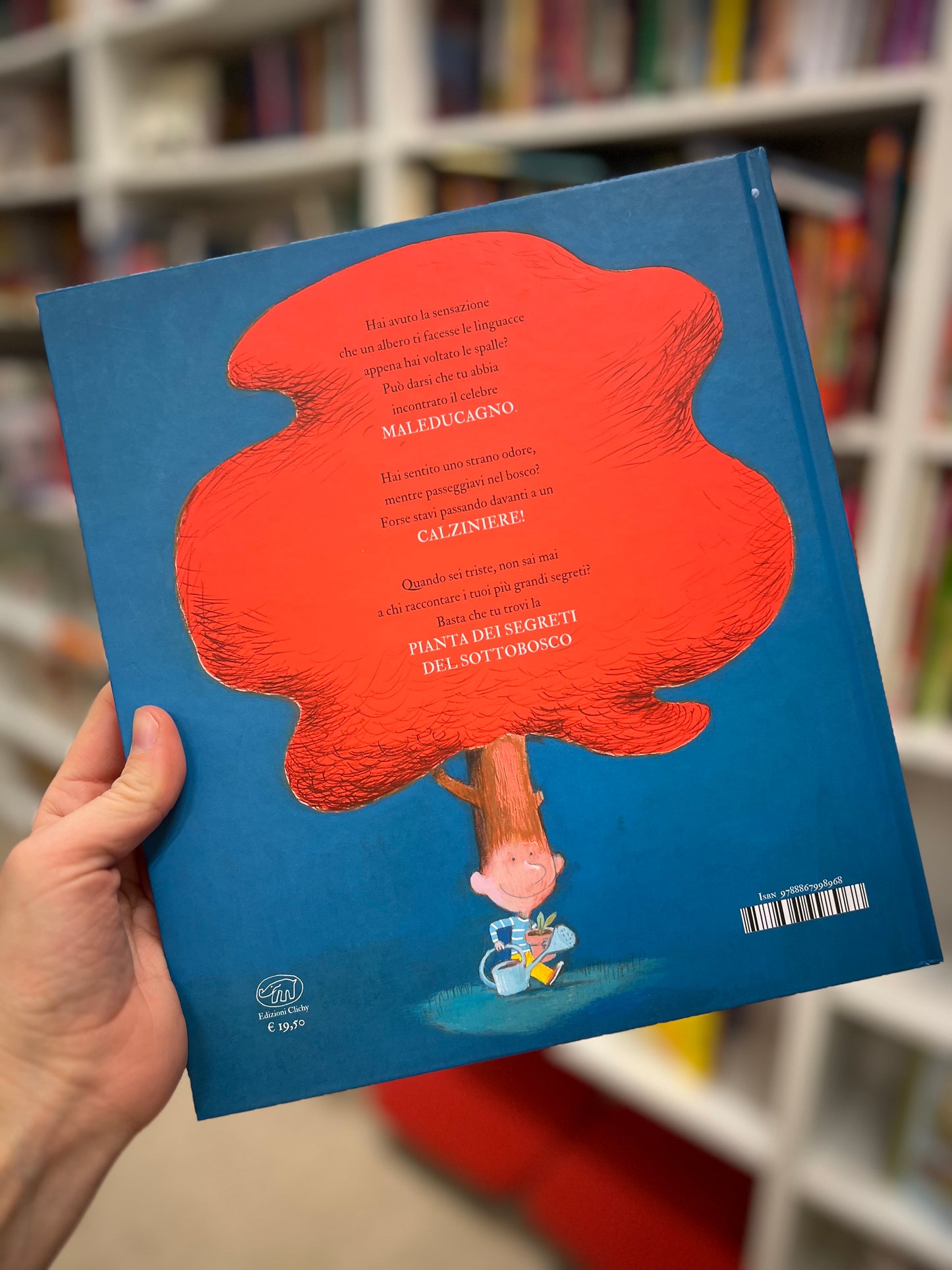 Il libro degli alberi e delle piante da scoprire, Olivier Tallec