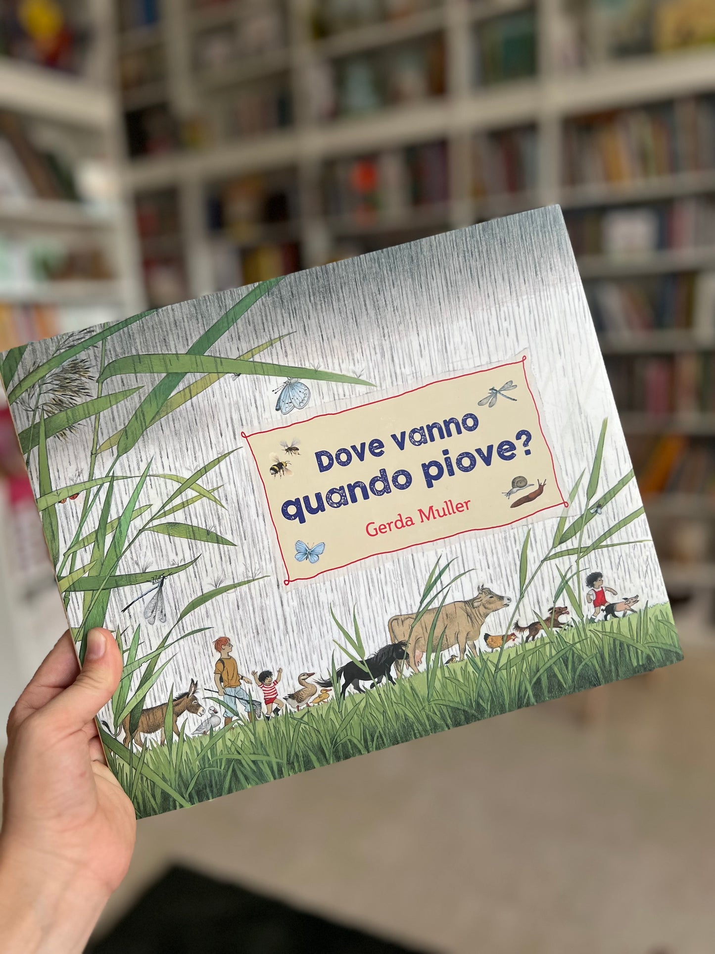 Dove vanno quando piove, Gerda Muller