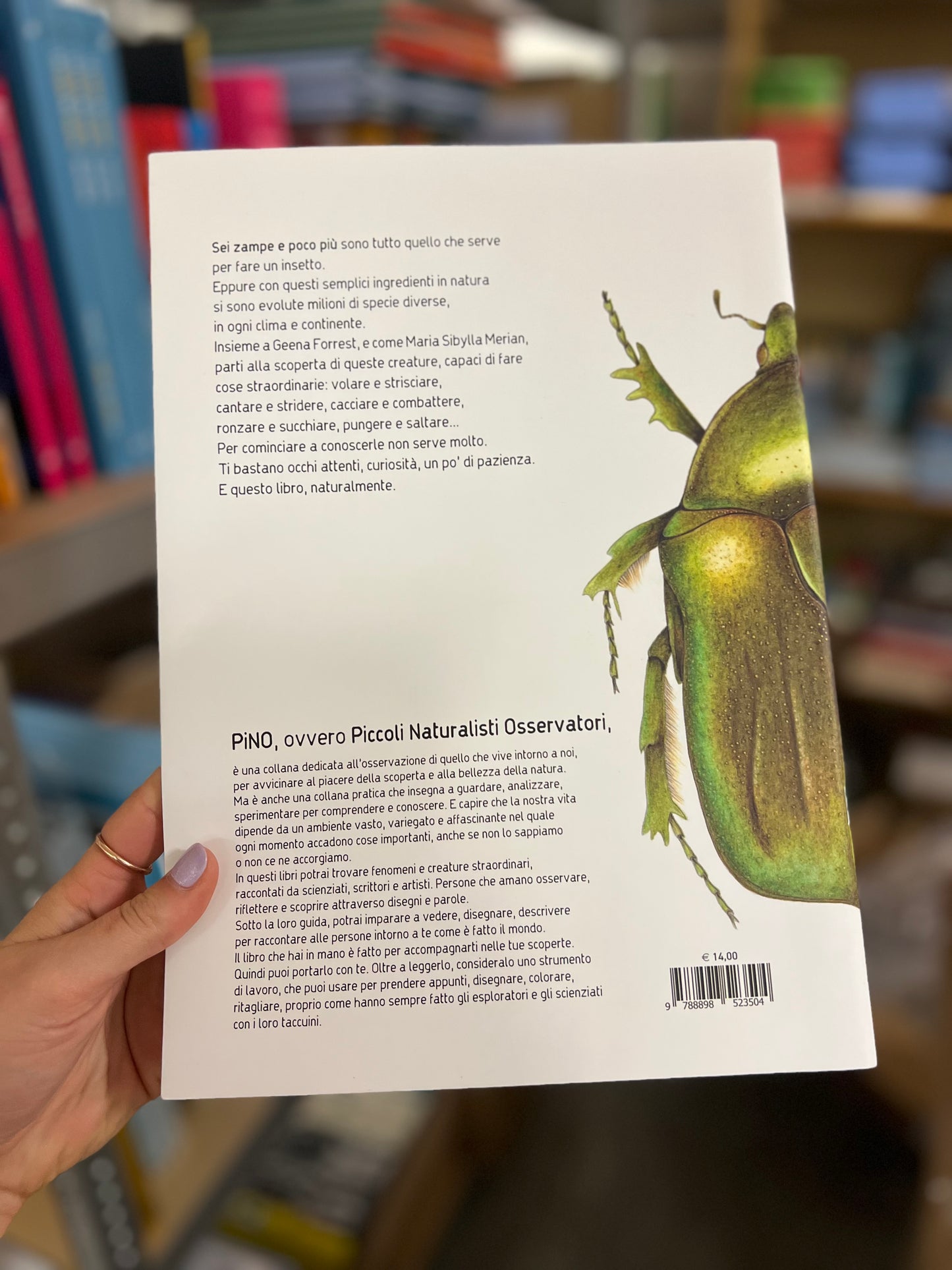 Sei zampe e poco più. Una guida pratica per piccoli entomologi, Geena Forrest
