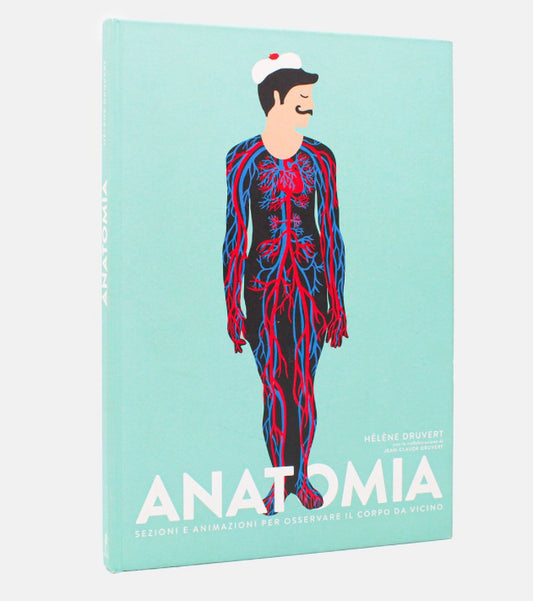 Anatomia, Hélène Druvert