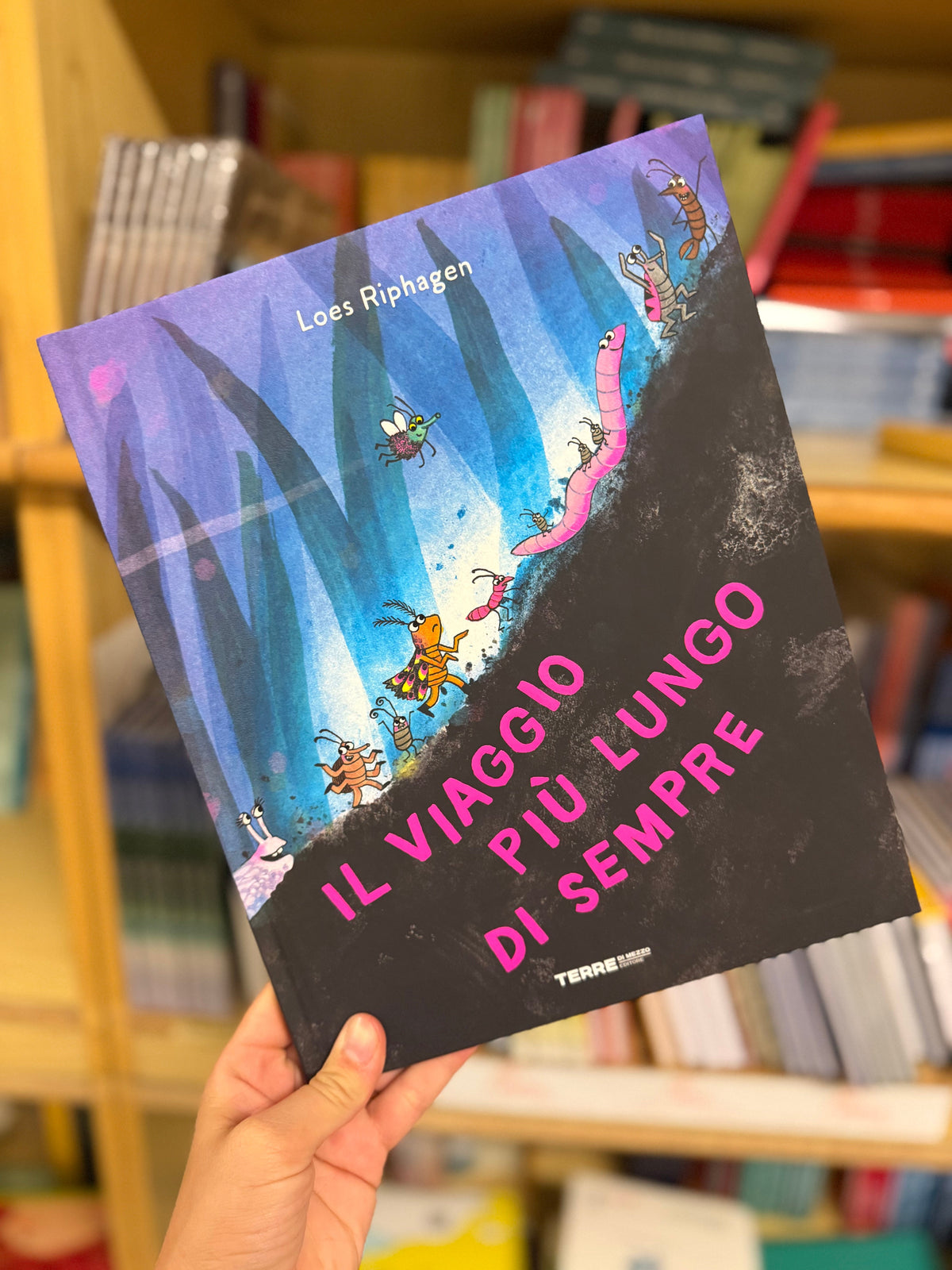 Progettazione ANNO SCOLASTICO 2026 - Nido, Scuola dell’infanzia, Scuola Primaria