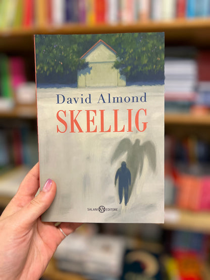 Skellig, David Almond