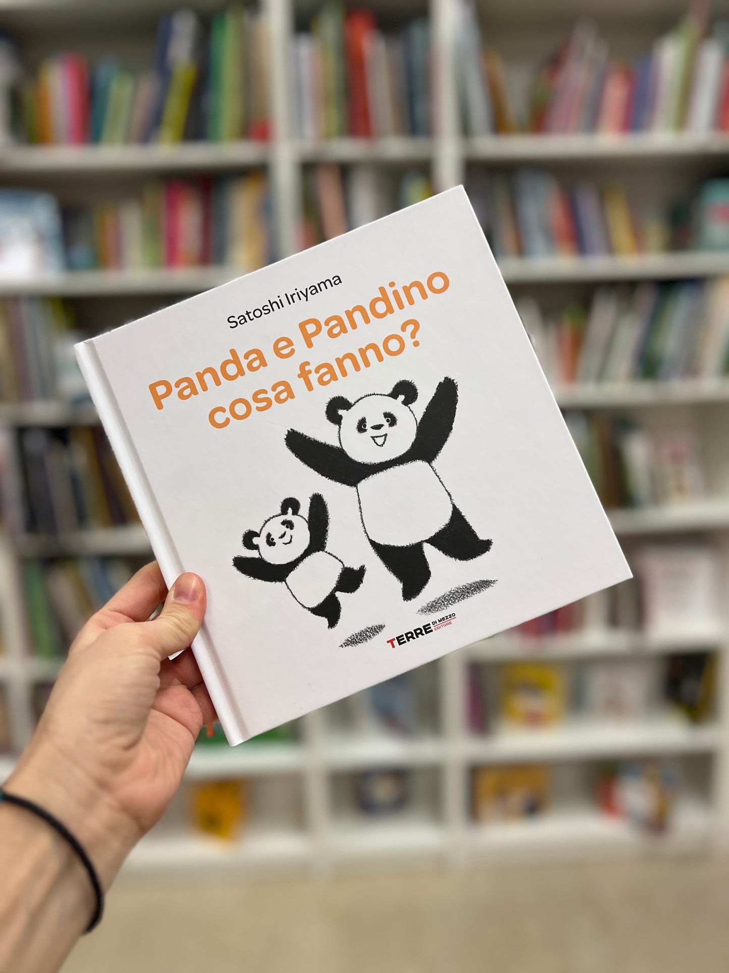 Panda e Pandino cosa fanno?, Satoshi Iriyama