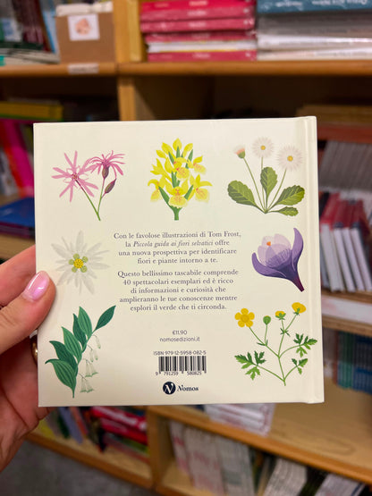 Piccola guida ai fiori selvatici, Tom Frost, Alison Davies