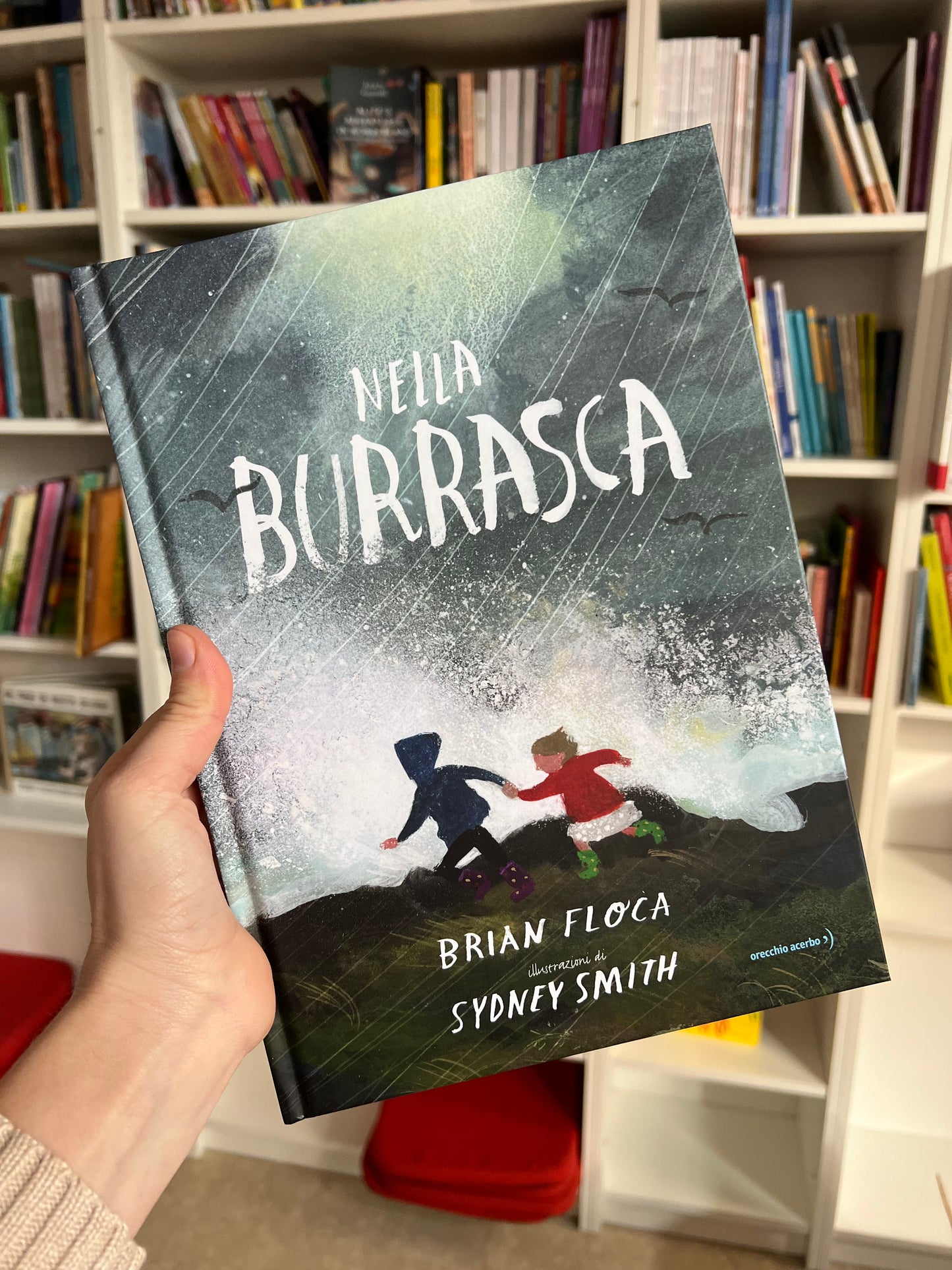 Nella burrasca, Brian Floca, Sydney Smith