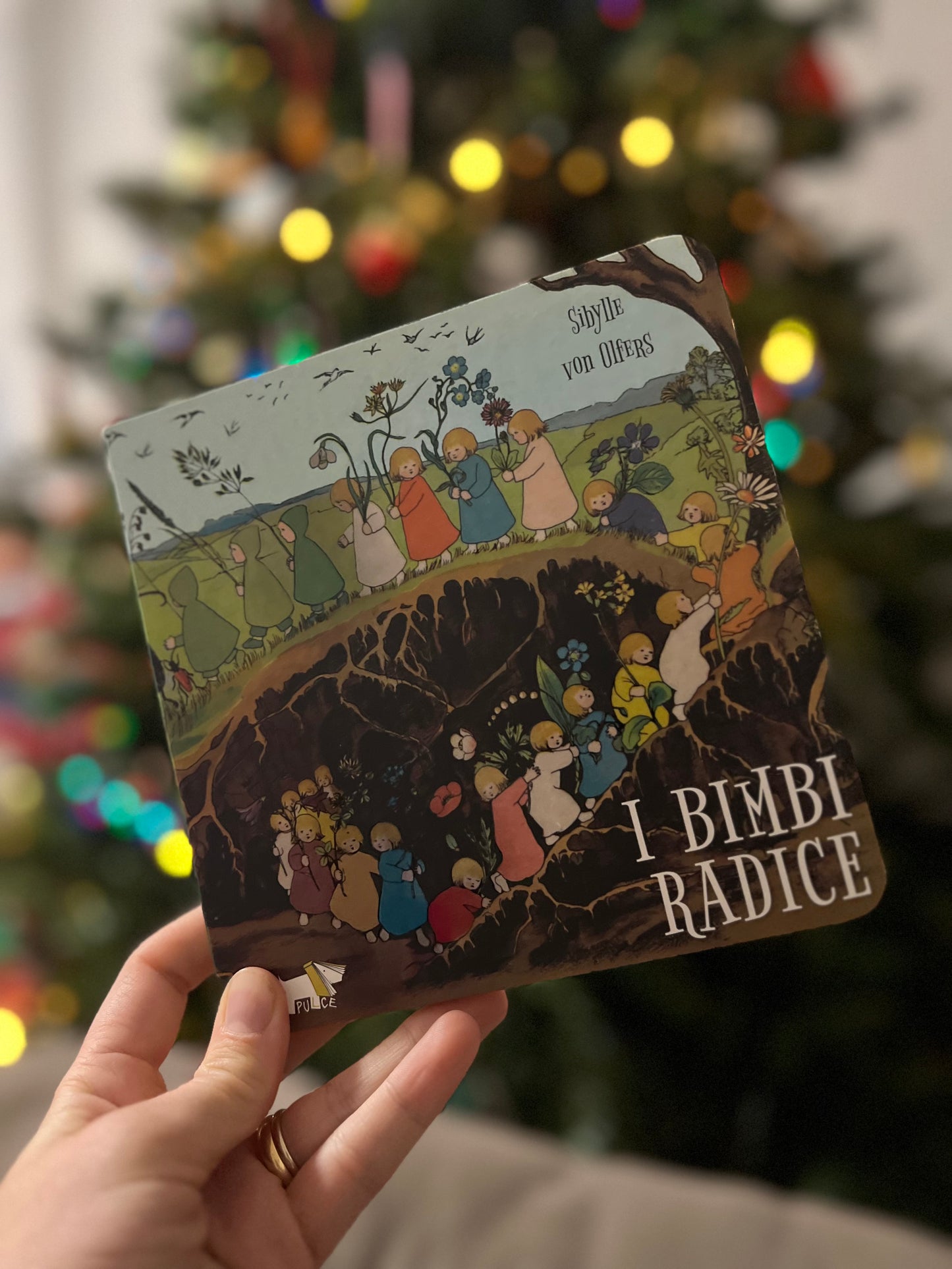 I bimbi radice, Sibylle von Olfers