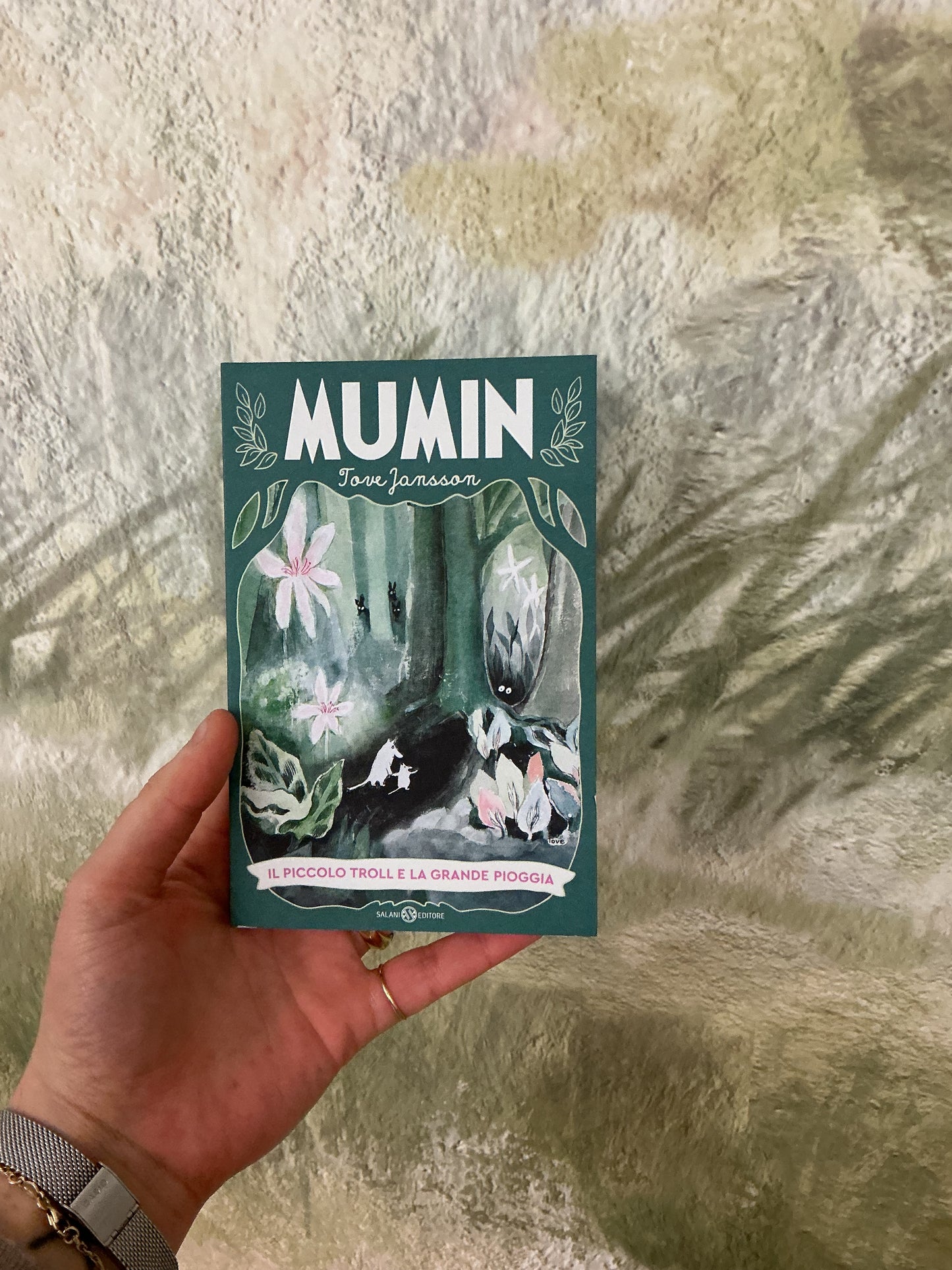 Il piccolo troll è la grande pioggia, Jove Jansson