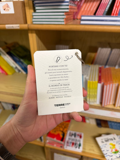 Il mondo in tasca Insetti, Anna Sanjuan