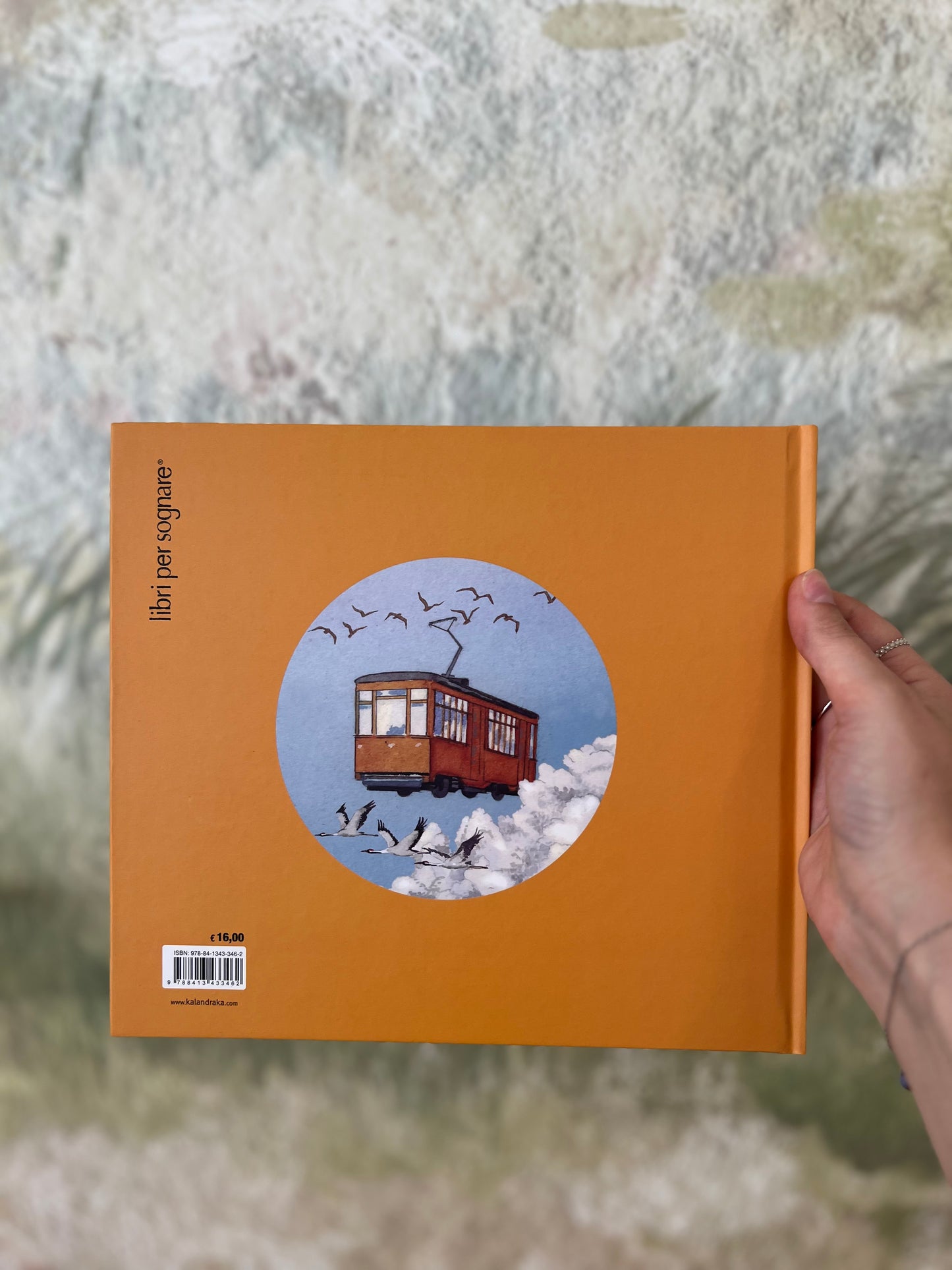 Il tram numero fiore, Guia Risari & Federico Delicado