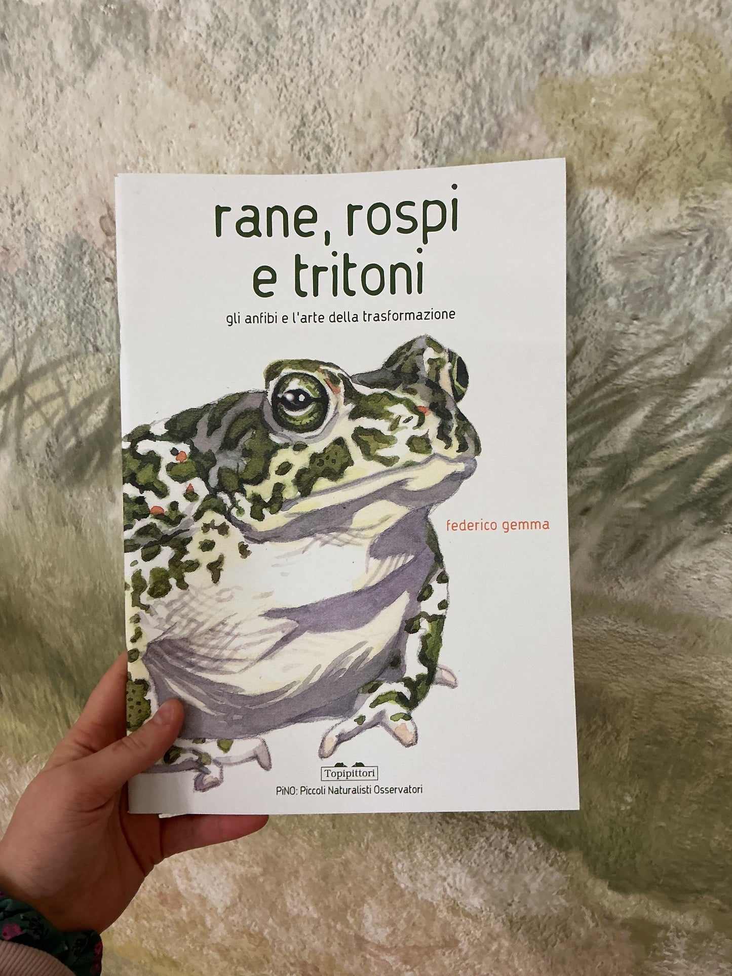 Rane, rospi e tritoni. Gli anfibi e l’arte della trasformazione, Federico Gemma