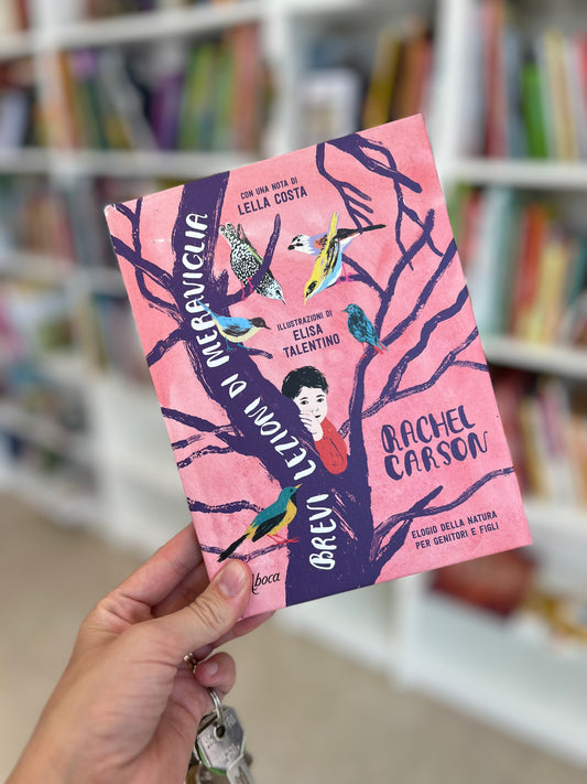 Brevi lezioni di meraviglia, Rachel Carson, Elisa Talentino
