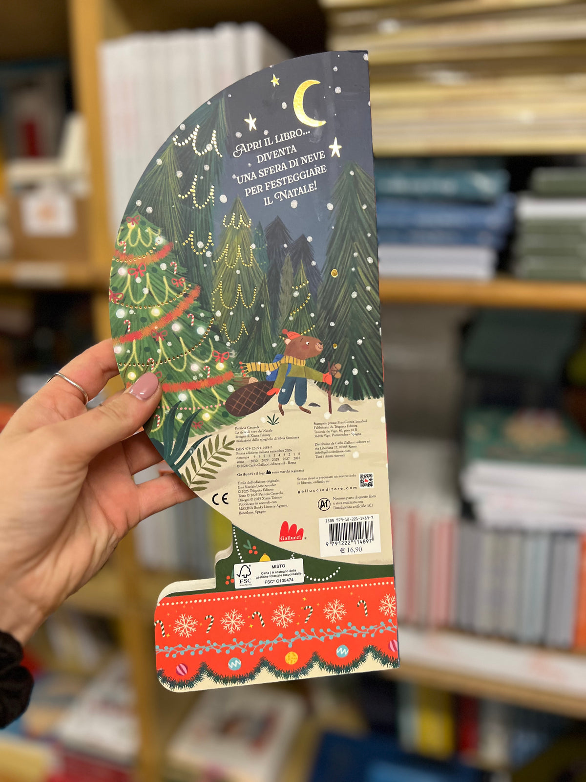 La sfera di neve del Natale, Xiana Teimoy & Patricia Casasola
