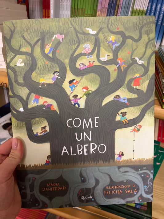 Come un albero, Maria Gianferrari, Felicita Sala