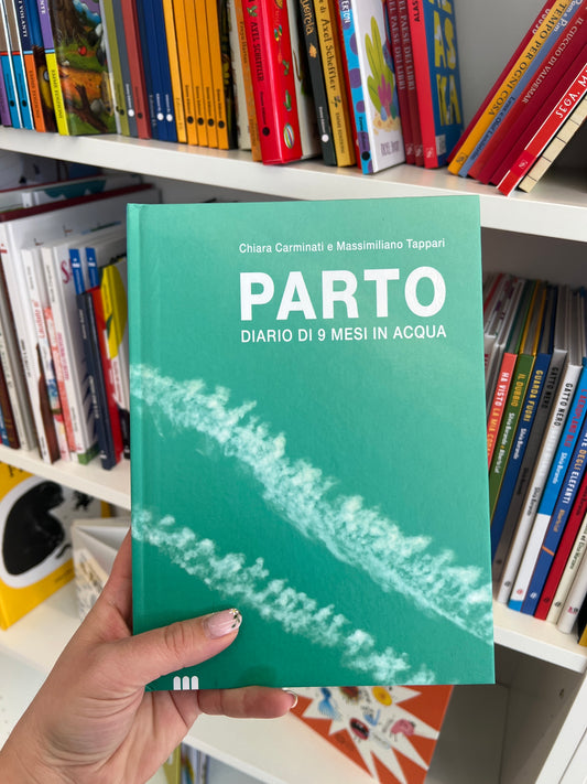 Parto Diario di 9 mesi in acqua/diario di 9 mesi in aria, Chiara Carminati, Massimiliano Tappari