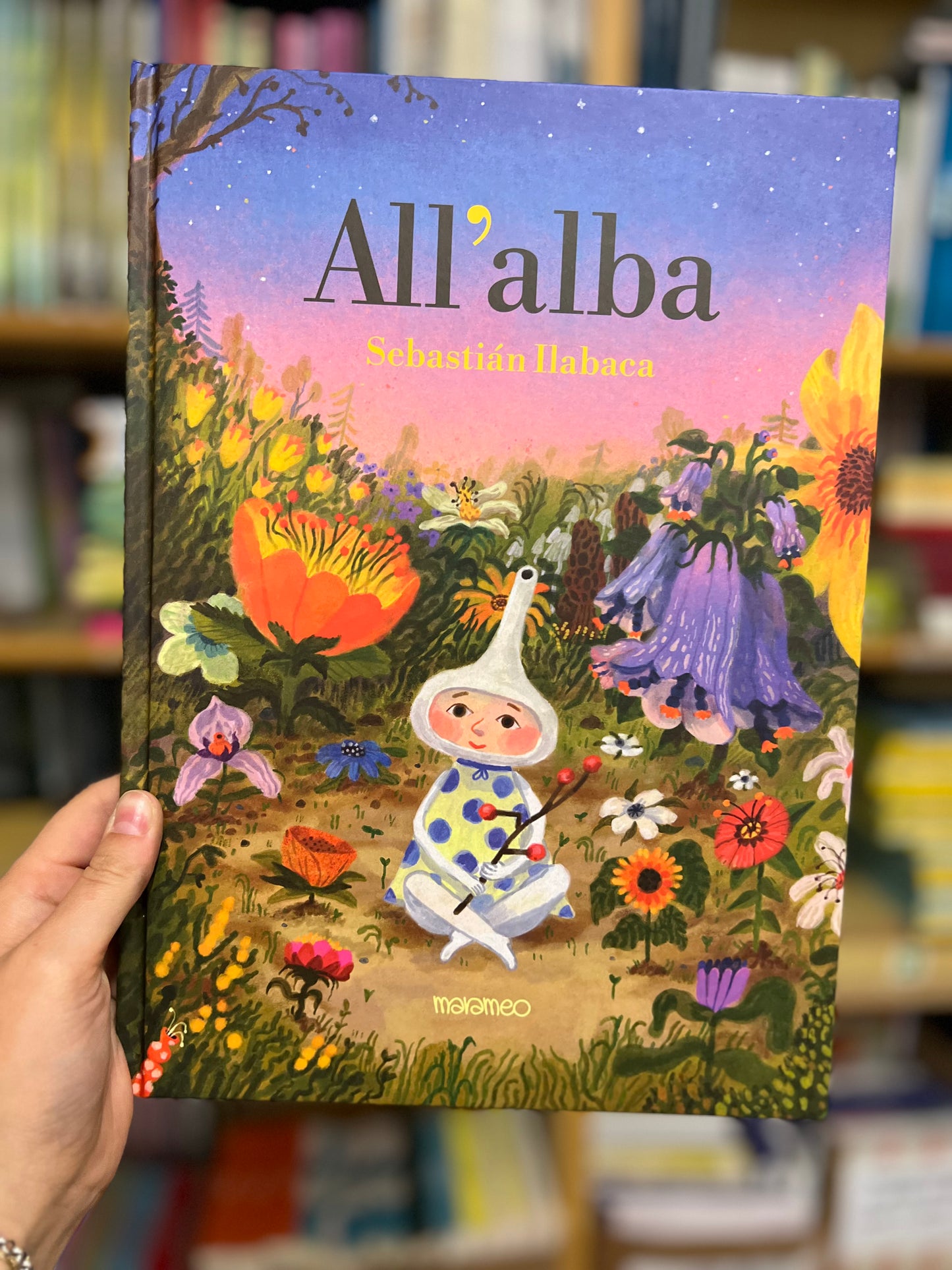 All’alba, Sebastián Ilabaca