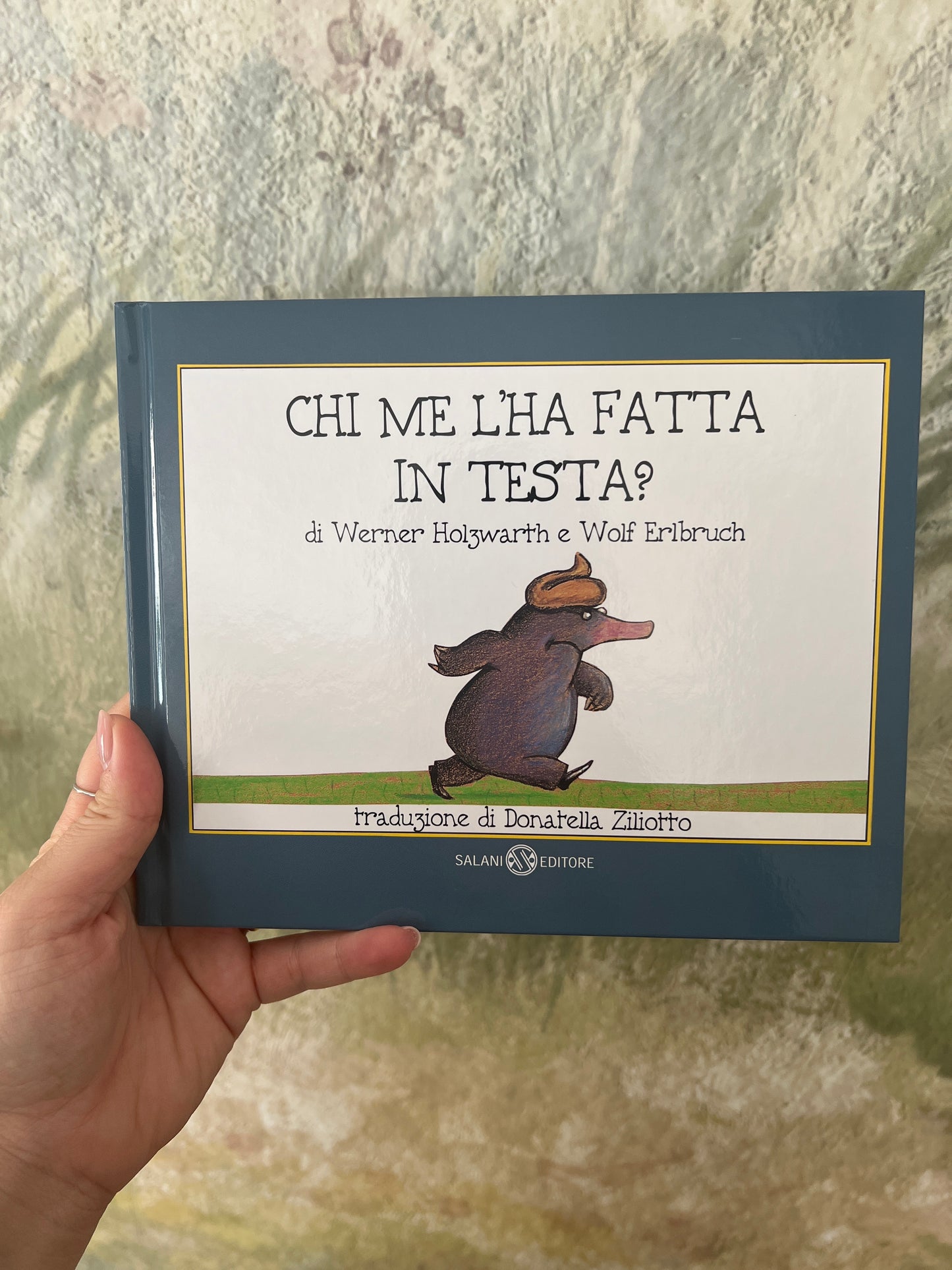 Chi me l’ha fatta in testa? Werner Holzwarth, Wolf Erlbruch