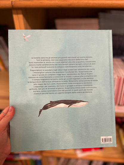 La vita segreta delle balene, Rena Ortega