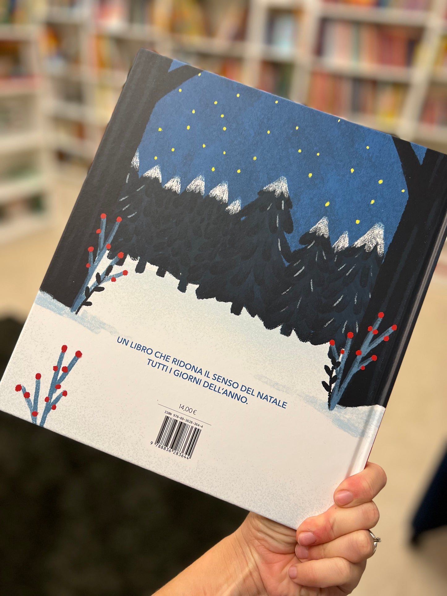 L’amore grande di Babbo Natale, Cristina Petit, Lenina Barducci