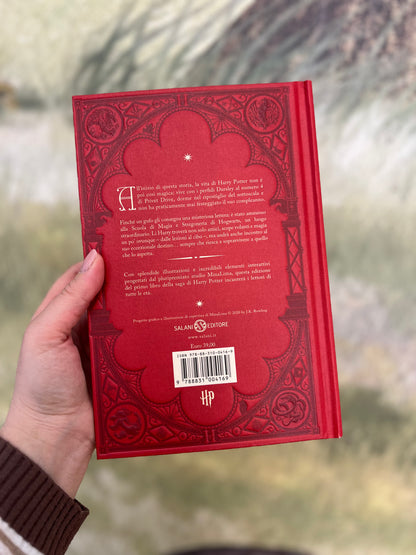 Harry Potter e la pietra filosofale, J.K. Rowling illustrato da Minalima