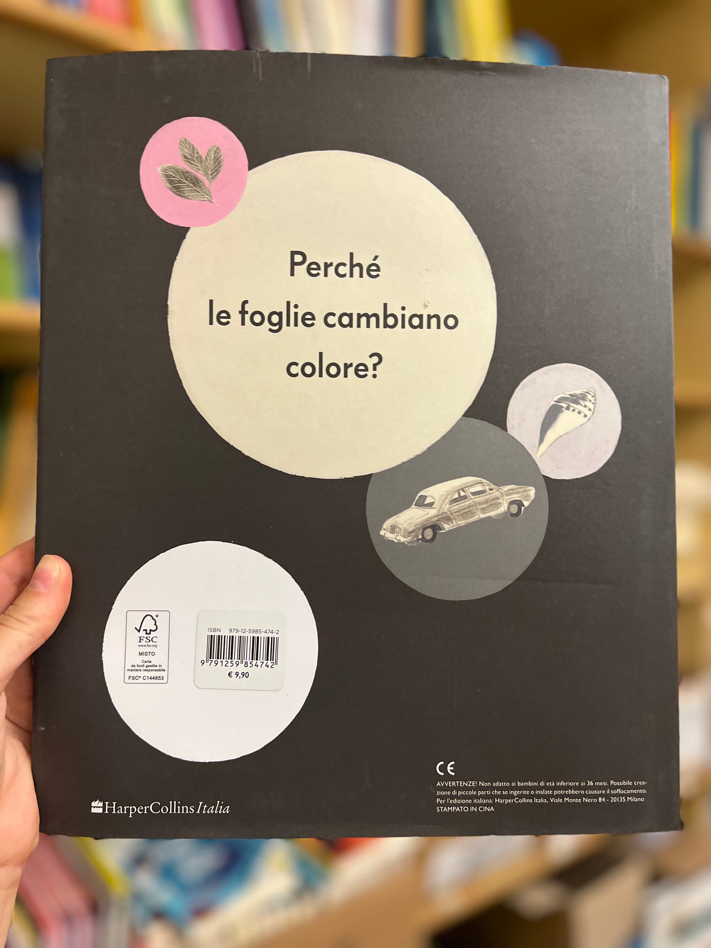Perché sì!, Mac Barnett & Isabelle Arsenault