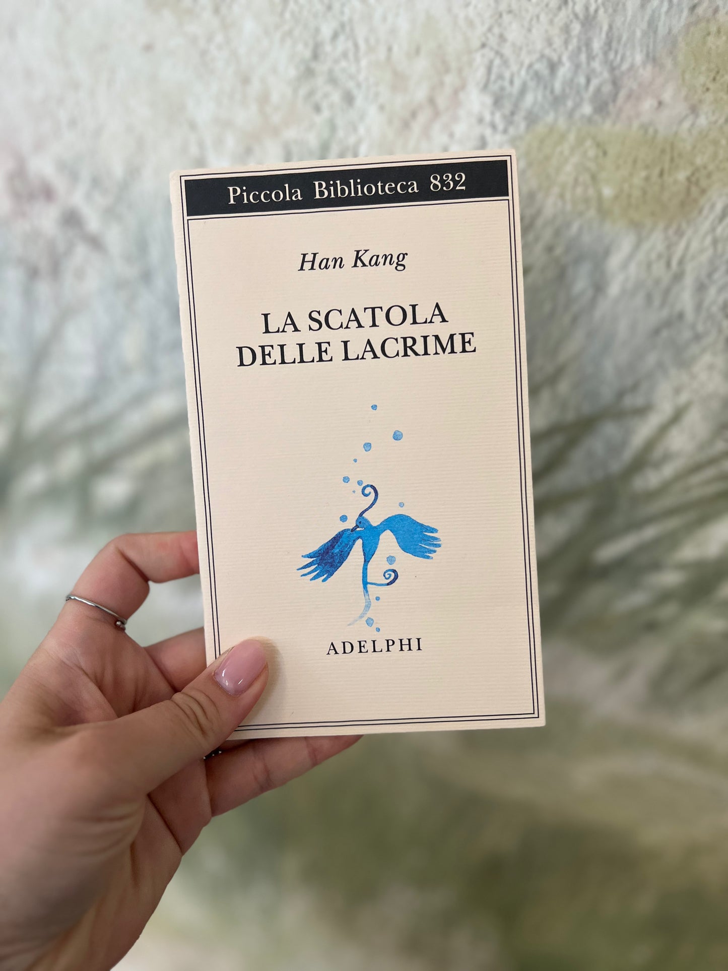 La scatola delle lacrime, Han Kang