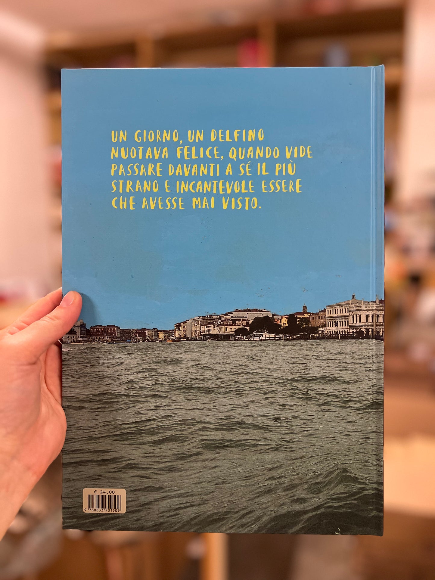 Avventura di un delfino a Venezia, Paolo Ventura
