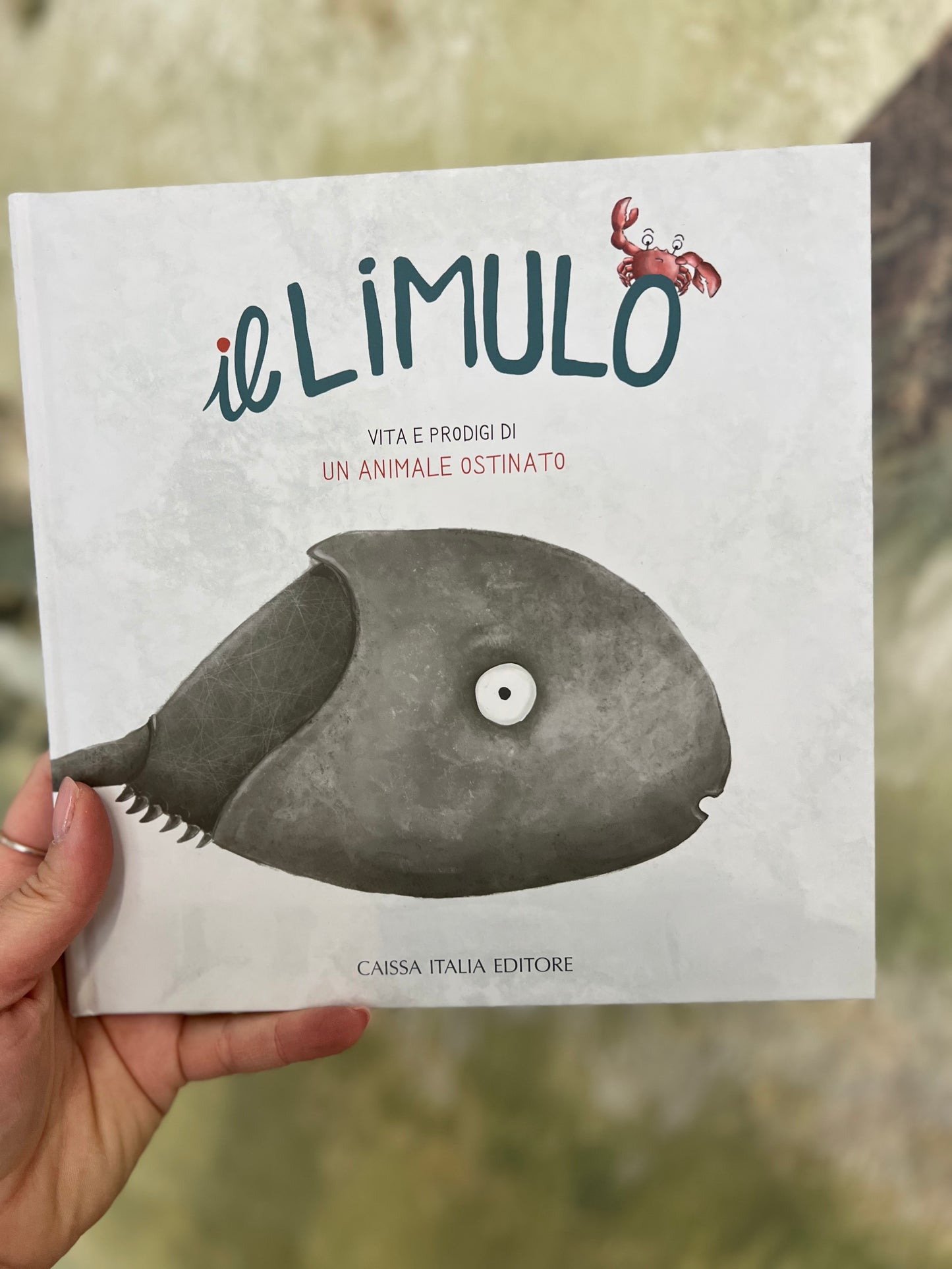 Il Limulo, vita e prodigi di un animale ostinato, Sara Rodeghiero, Laura Scivoli