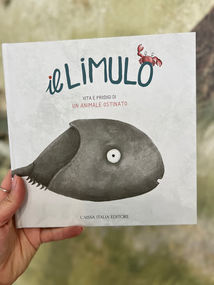 Il Limulo, vita e prodigi di un animale ostinato, Sara Rodeghiero, Laura Scivoli